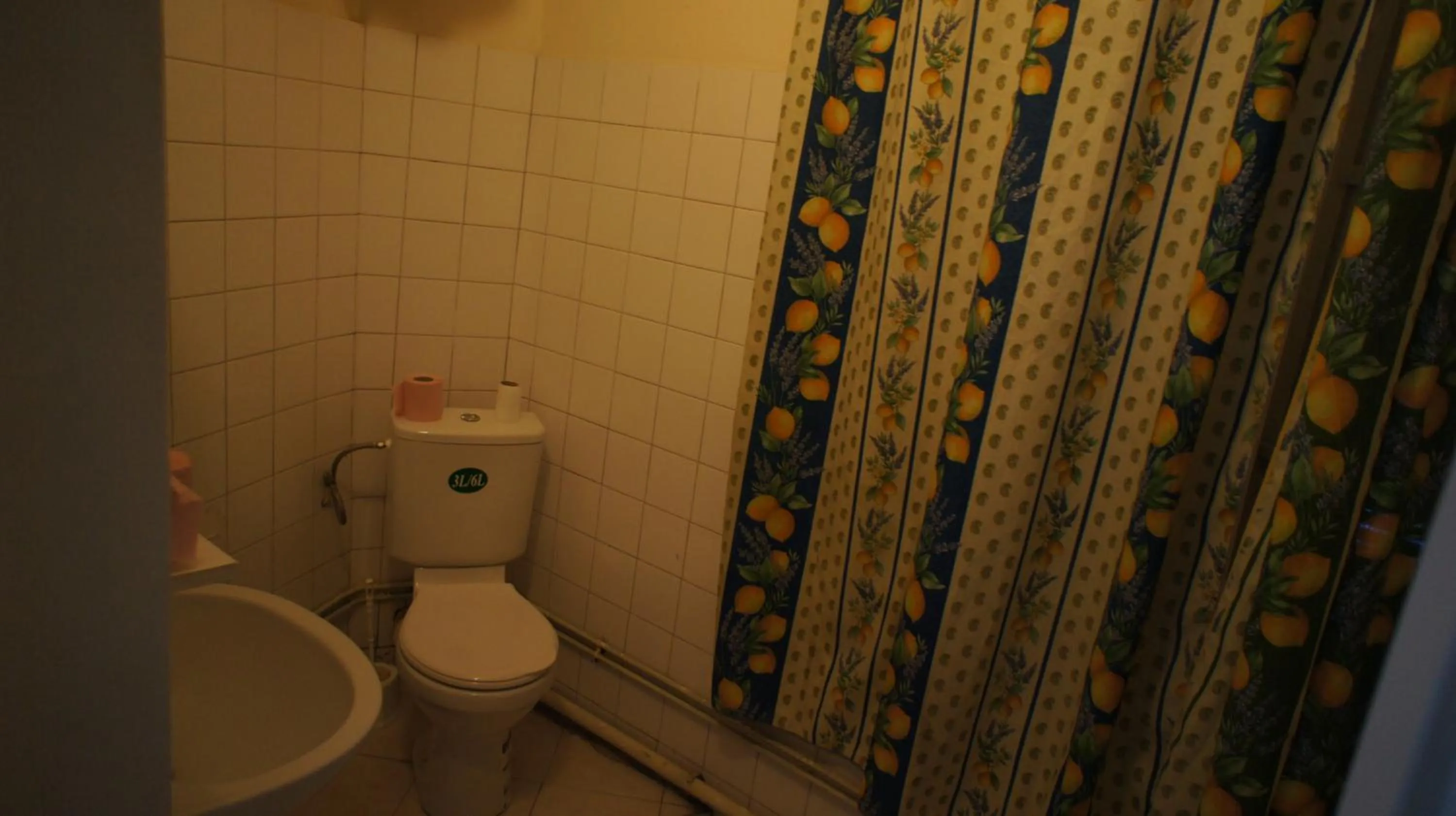 Toilet in Hôtel de la Renaissance