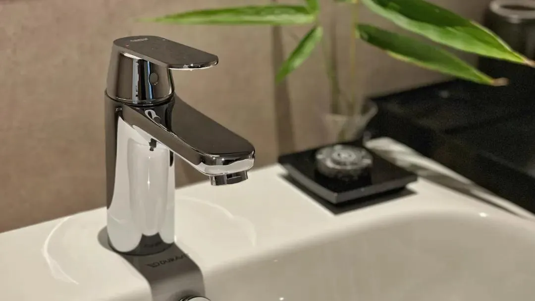 Toilet in Phoenix Hall House Hotel