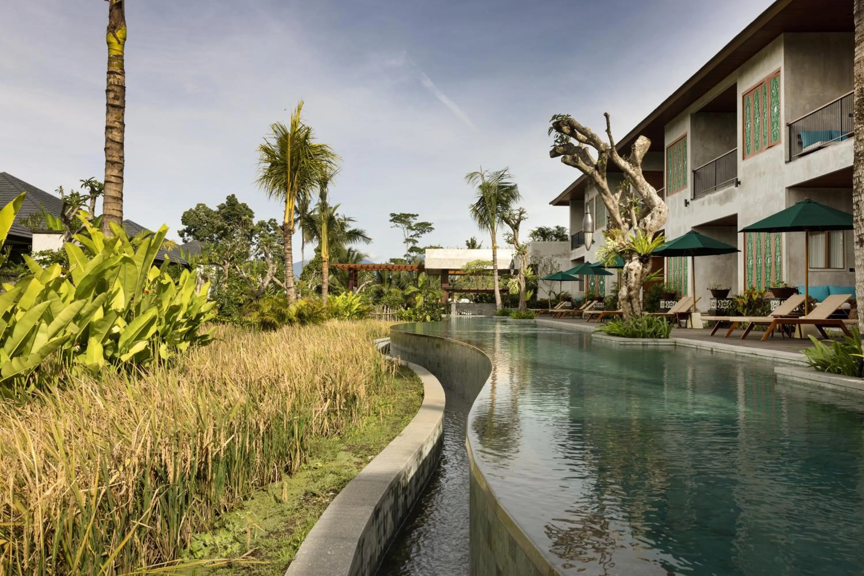 Pool view in Inara Alas Harum