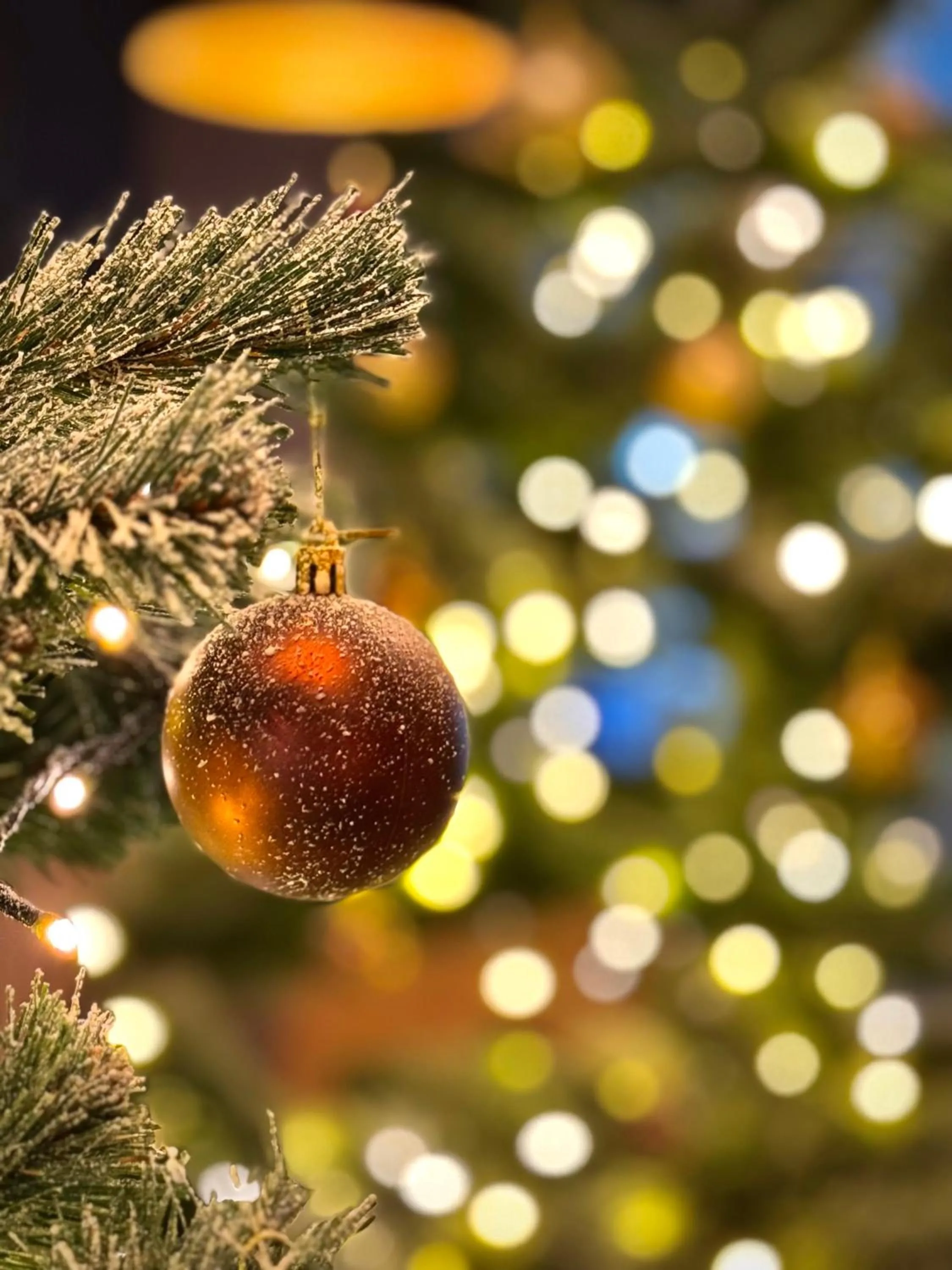 Lobby or reception in Hostel H360 - dawniej Hotelik Relax