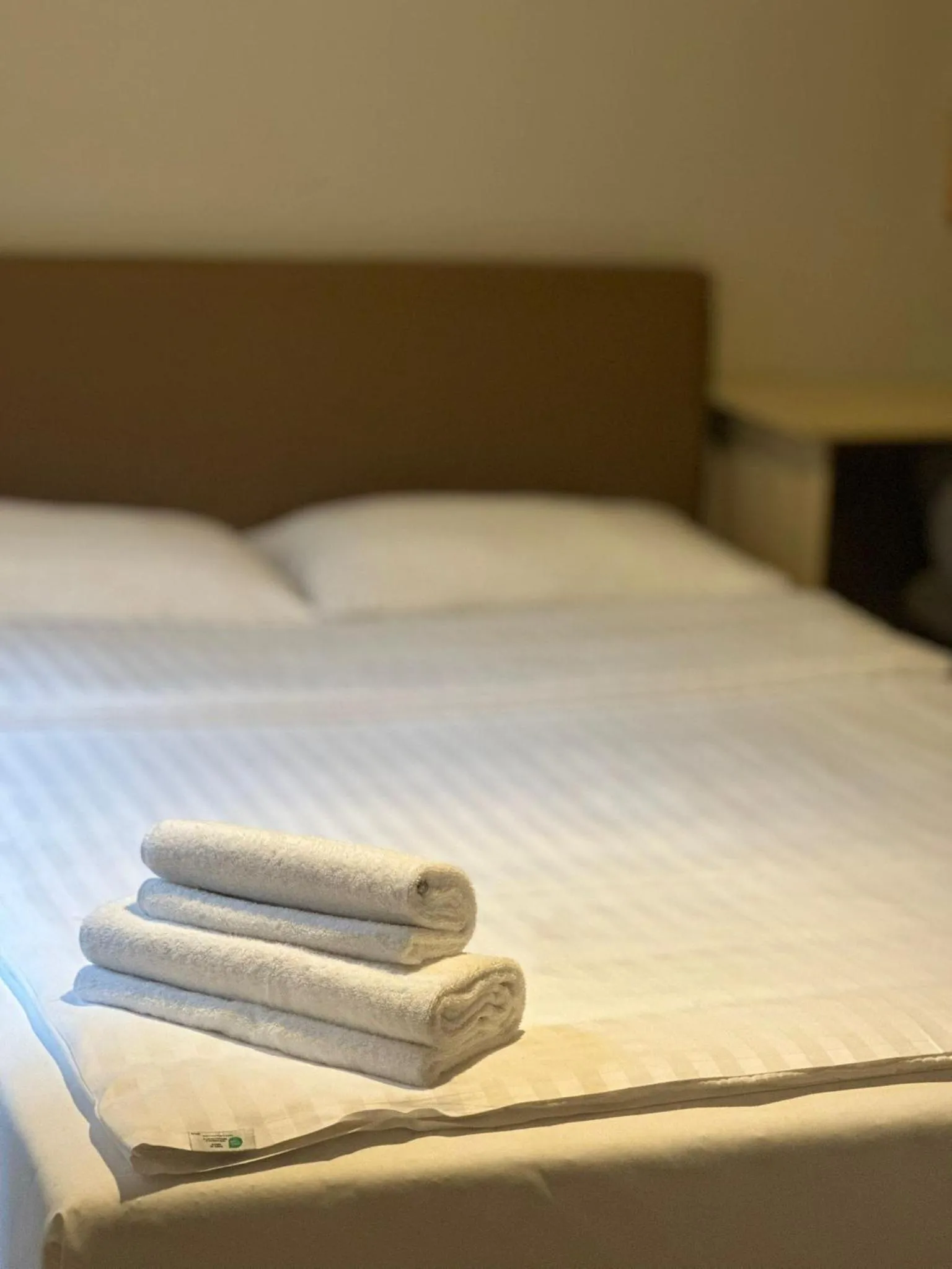 Bed in Hostel H360 - dawniej Hotelik Relax