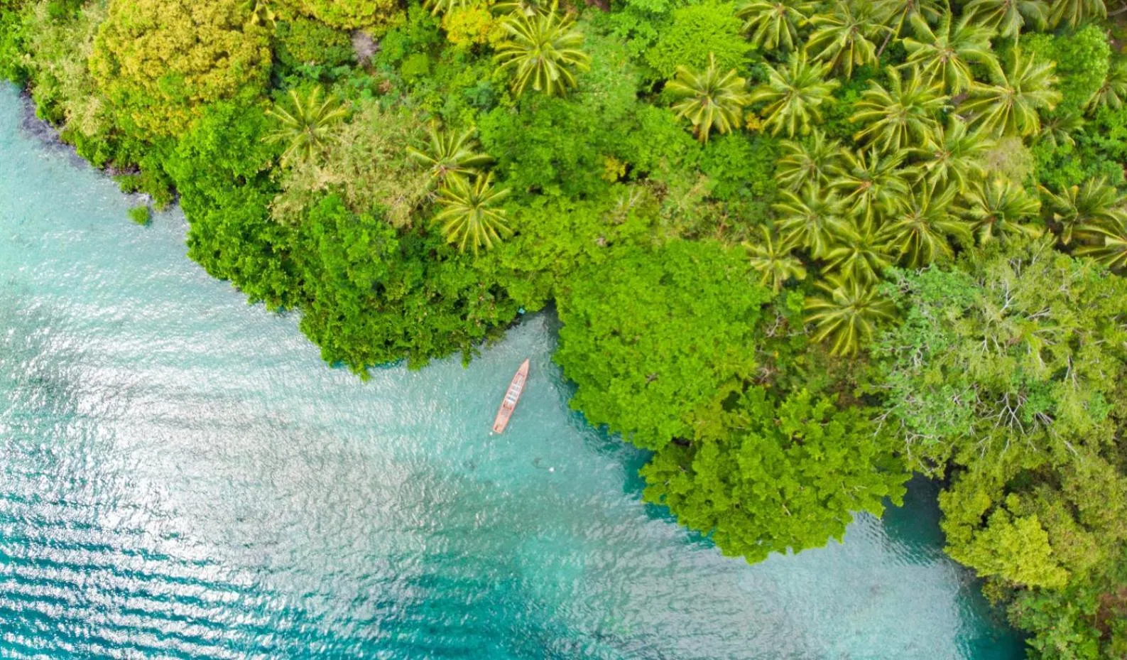 Natural landscape in Rose Apartments