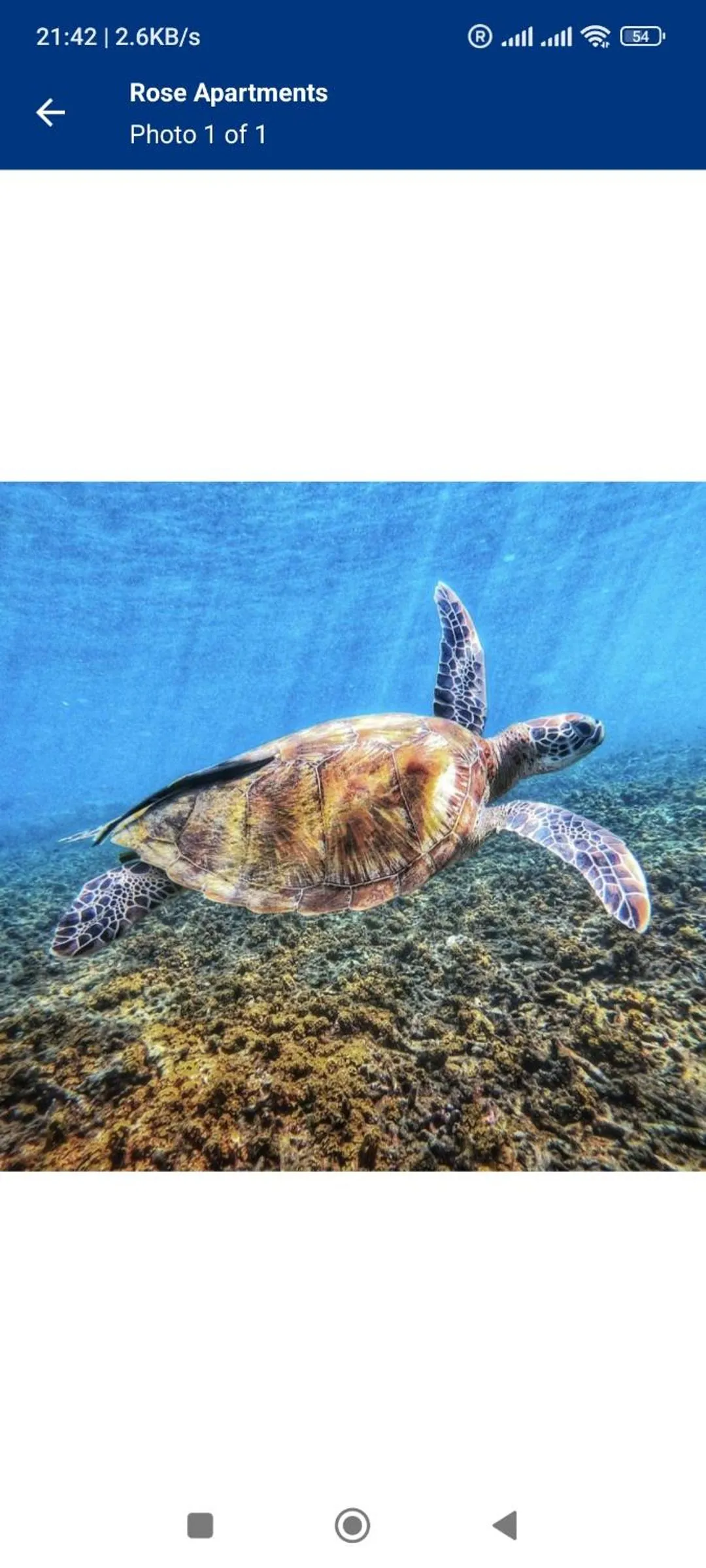 Natural landscape in Rose Apartments