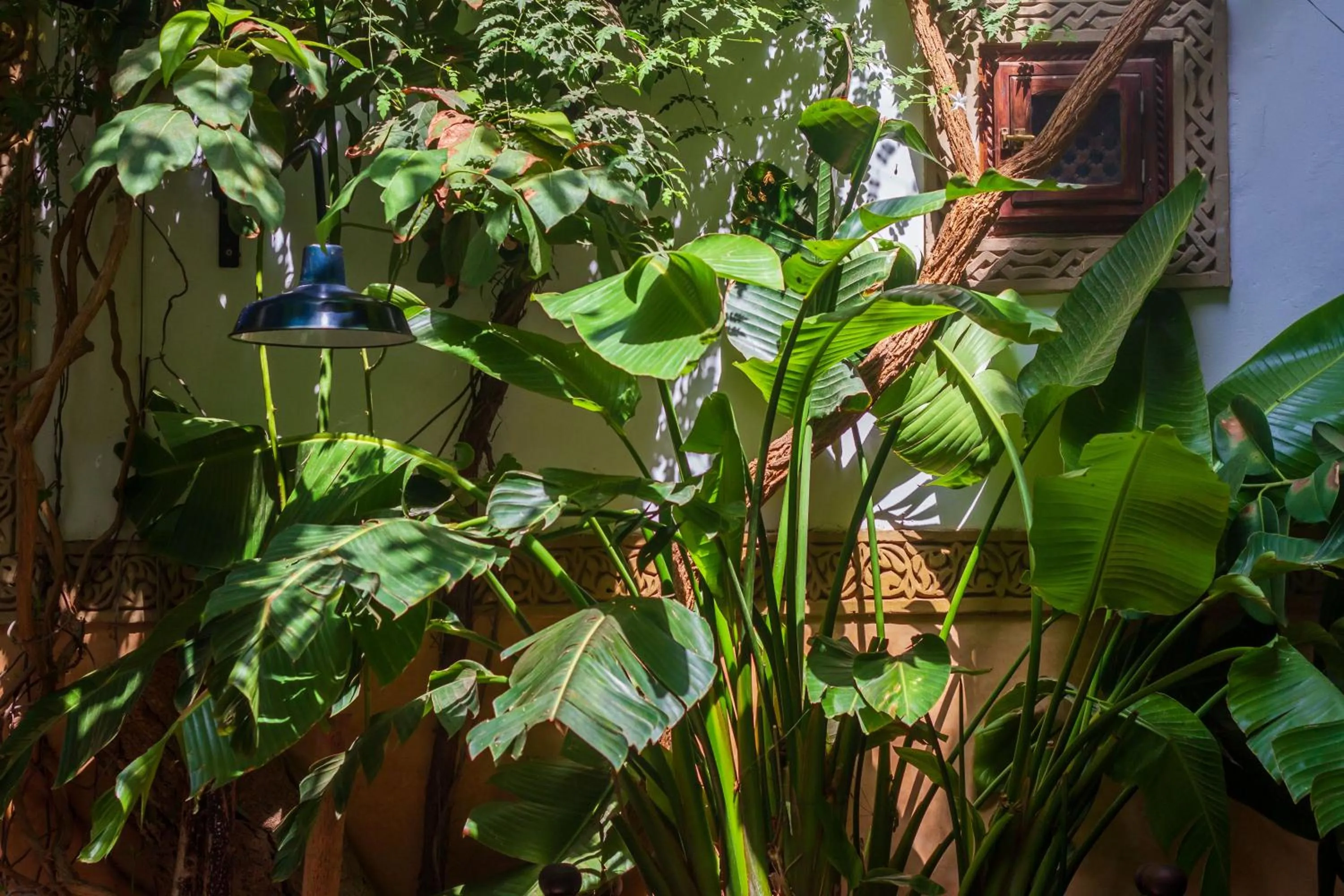 Garden in Riad Dombaraka