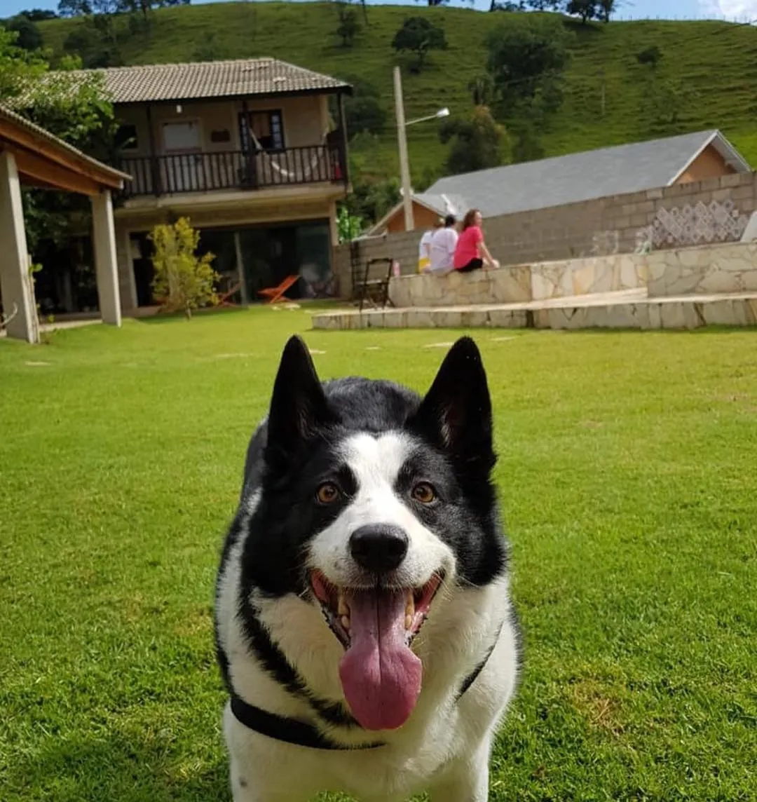 Pousada Rota dos Pássaros