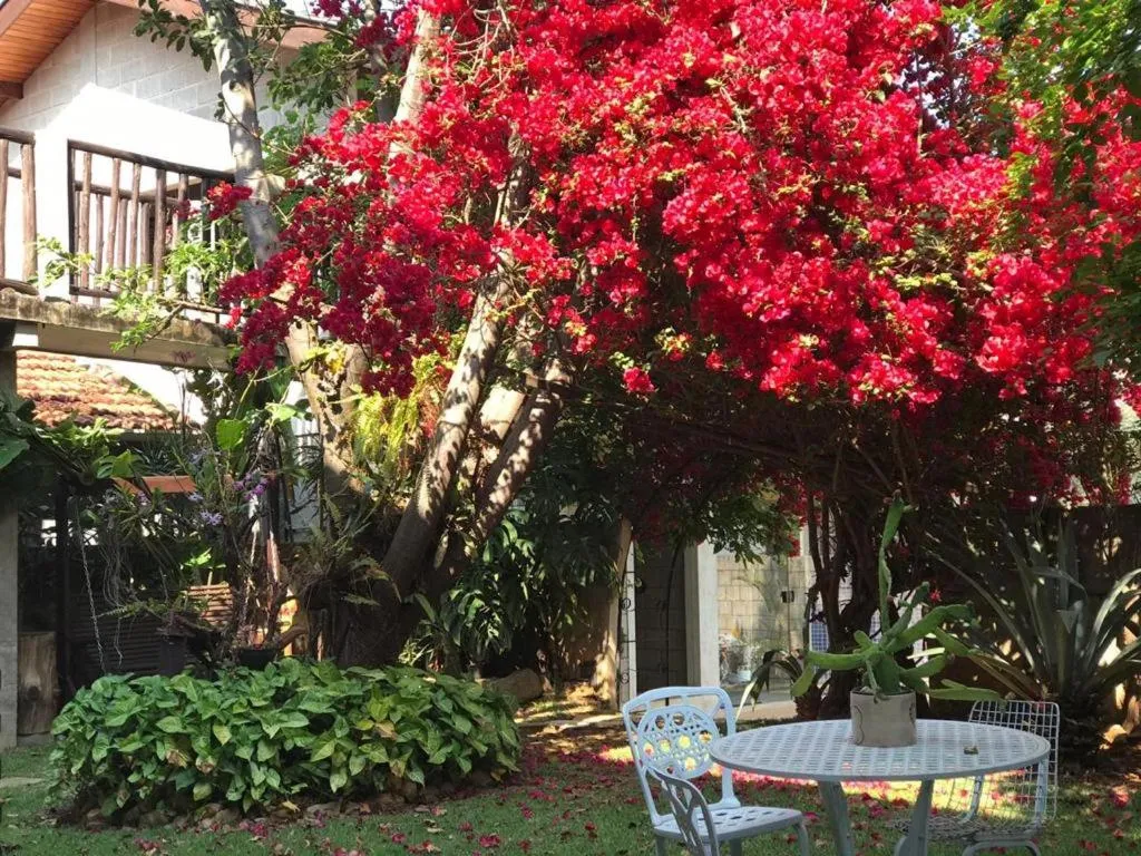Patio in Pousada Rota dos Pássaros