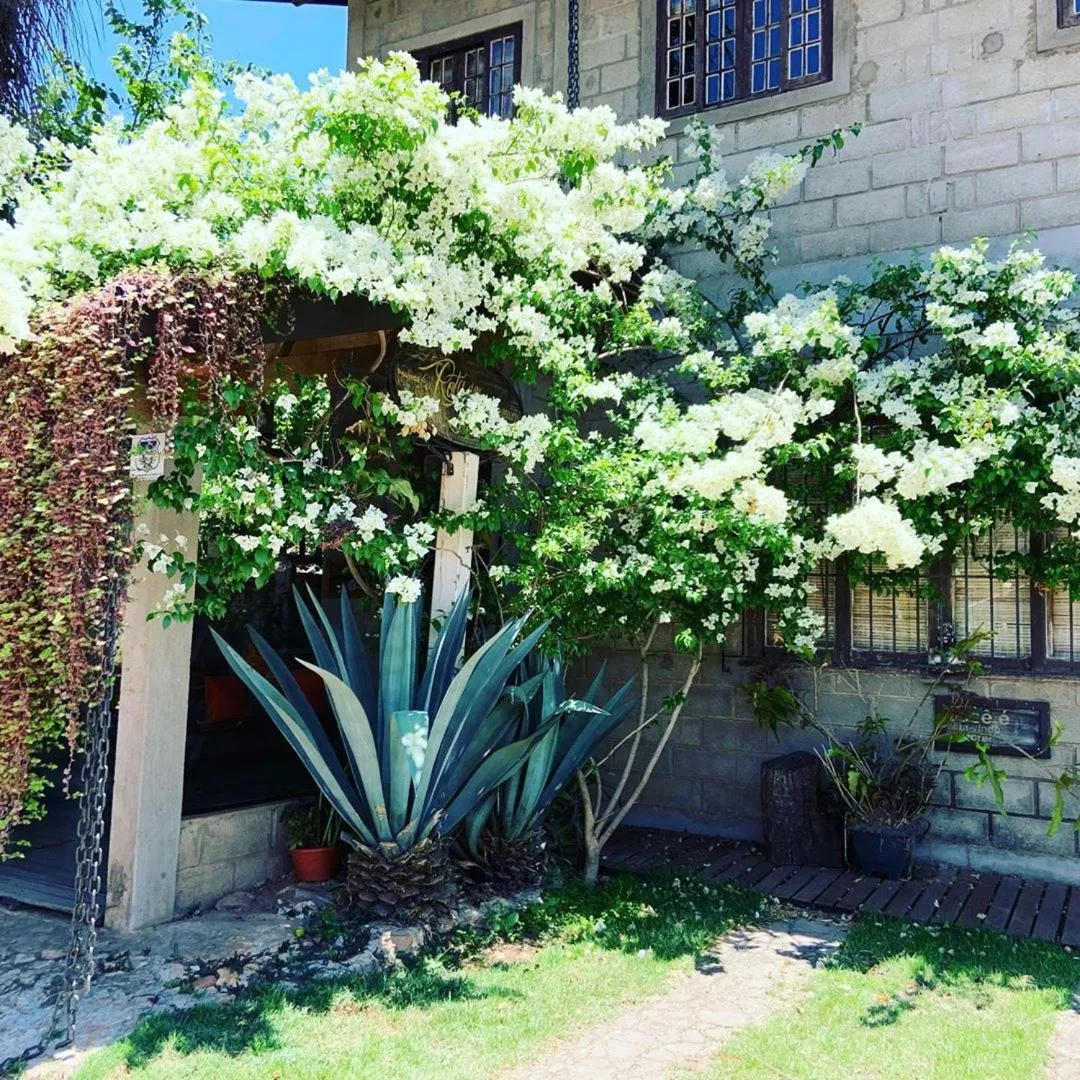 Pousada Rota dos Pássaros