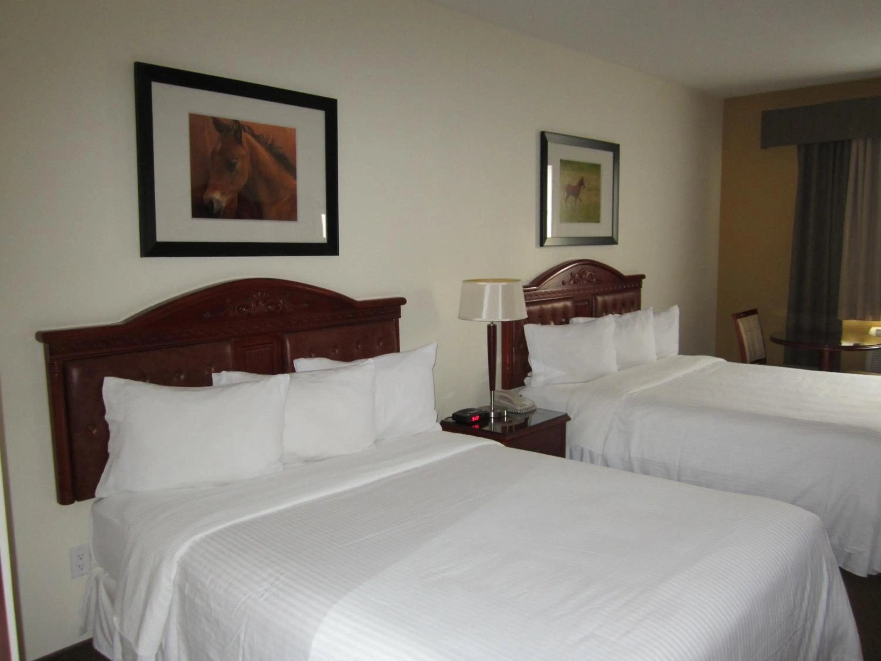 Other, Bed in Trend Mountain Hotel & Conference Centre