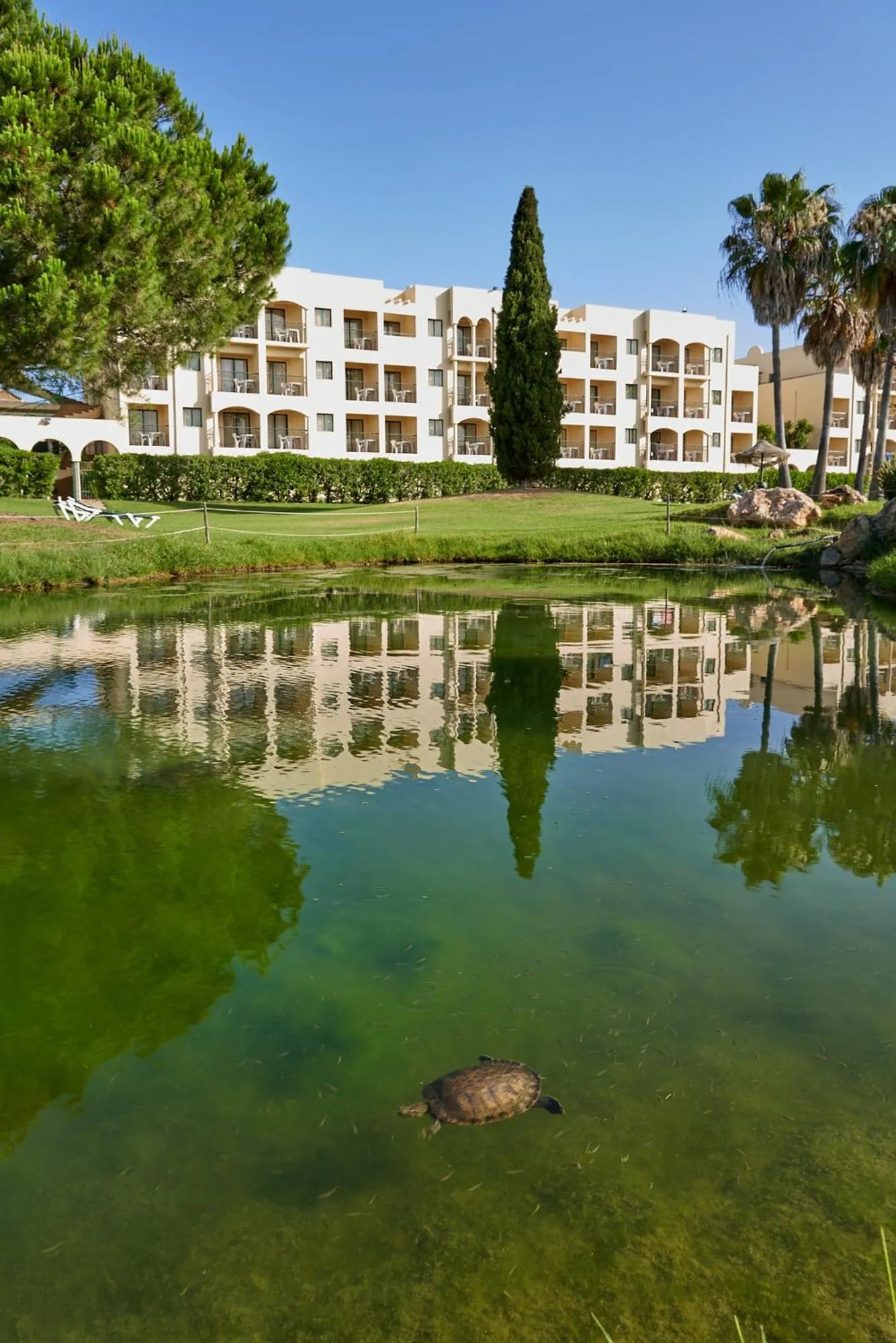 The Navigator - Palm Oasis Alvor - All Inclusive
