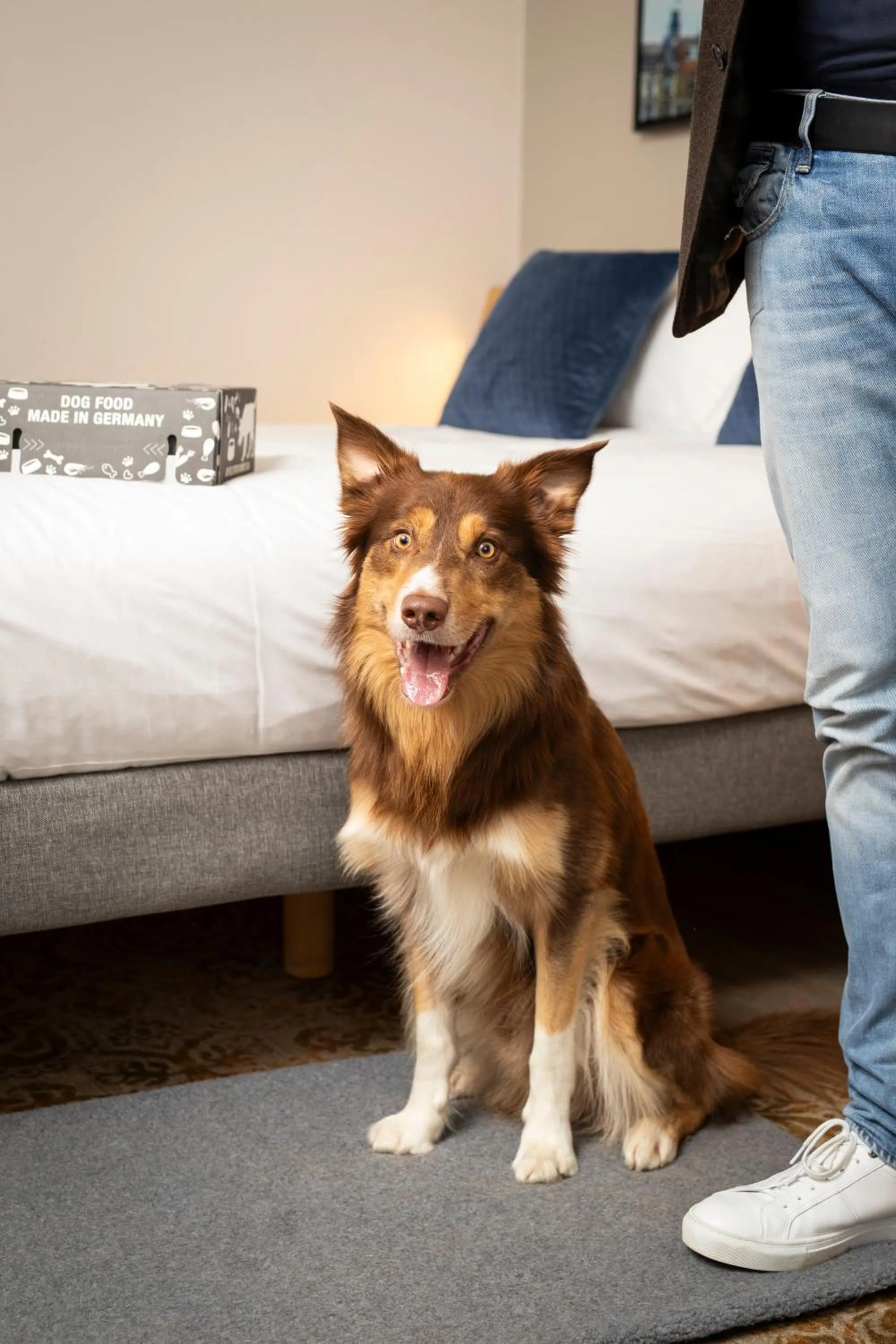 Bedroom in Novotel Maastricht