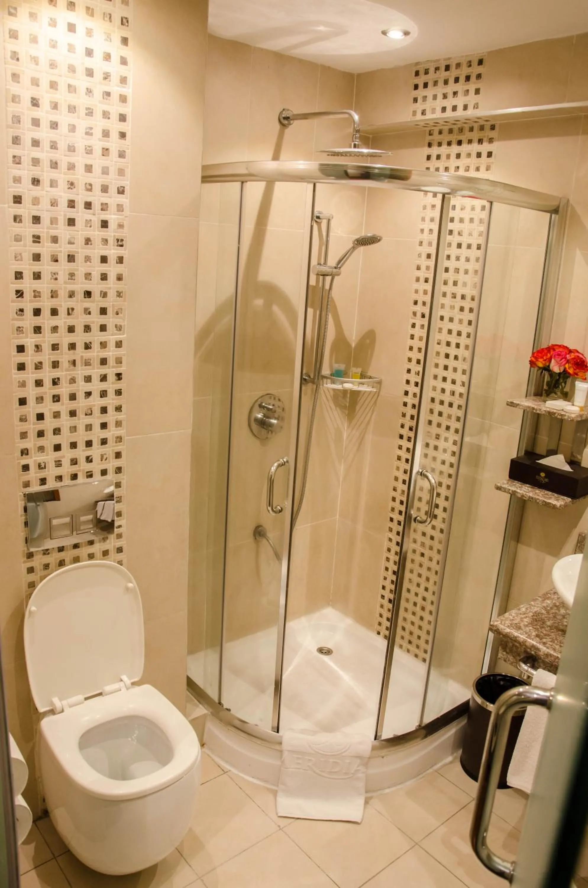 Shower in Best Western Plus Meridian Hotel