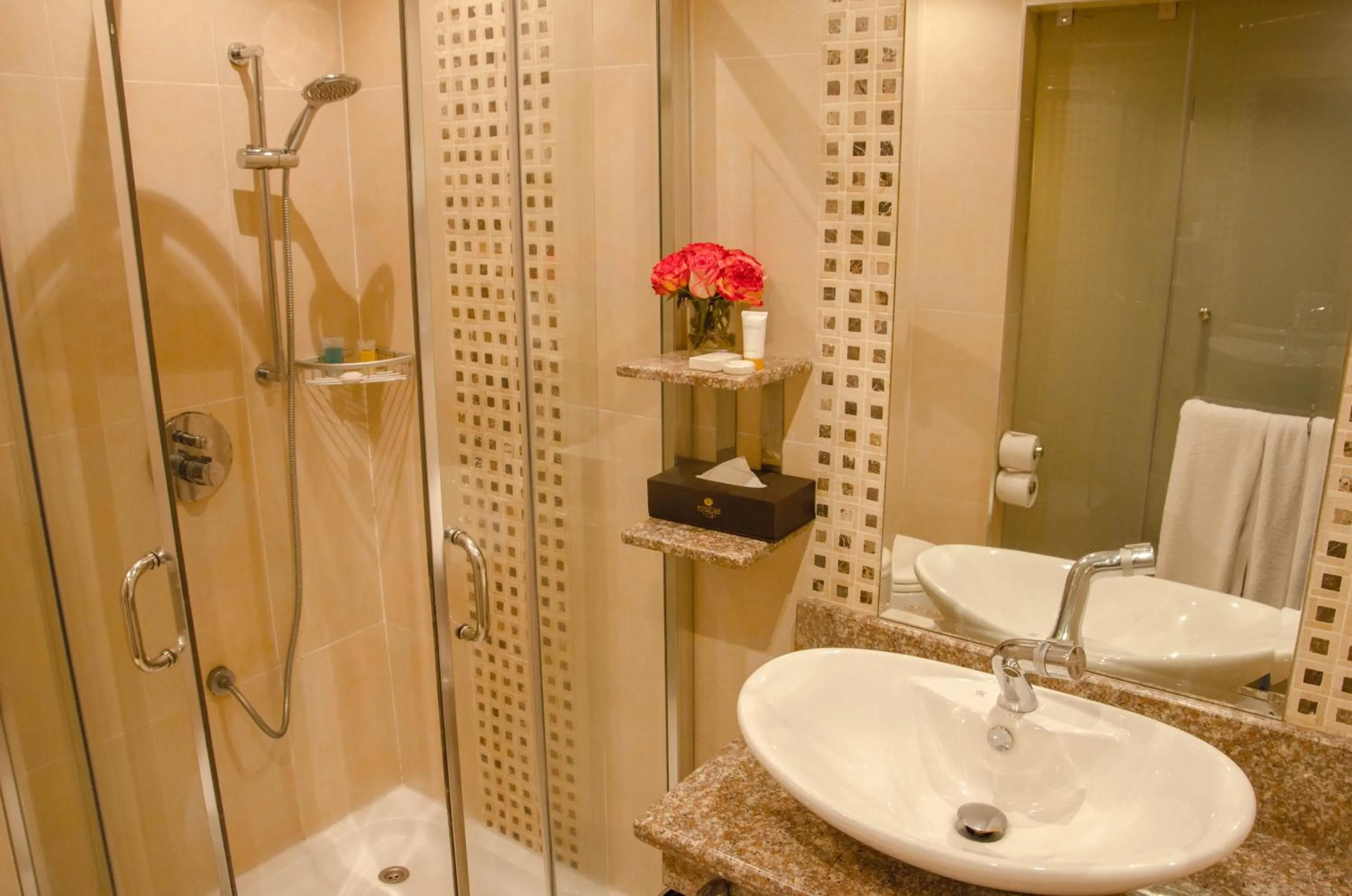 Shower in Best Western Plus Meridian Hotel
