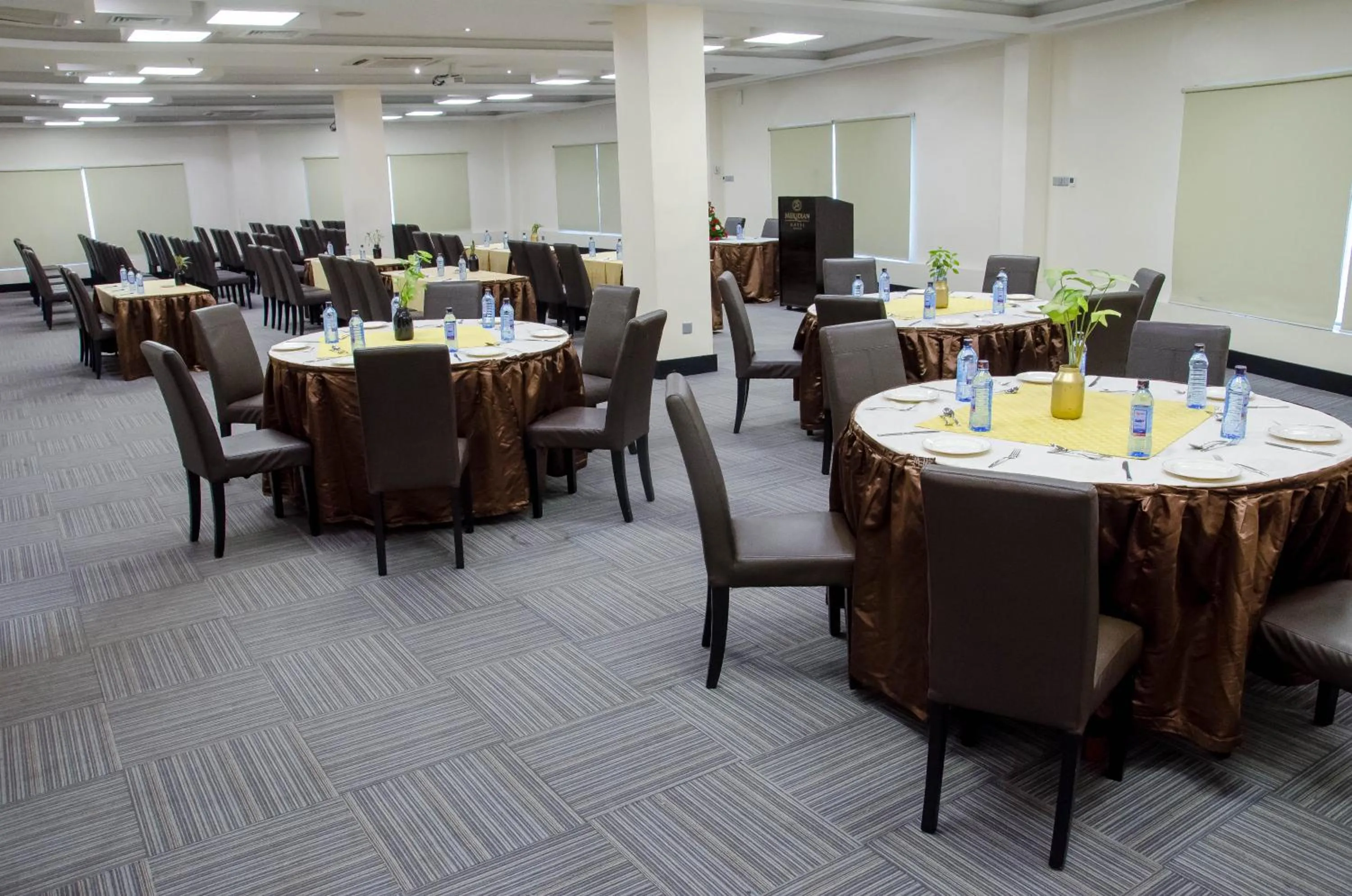 Area and facilities in Best Western Plus Meridian Hotel