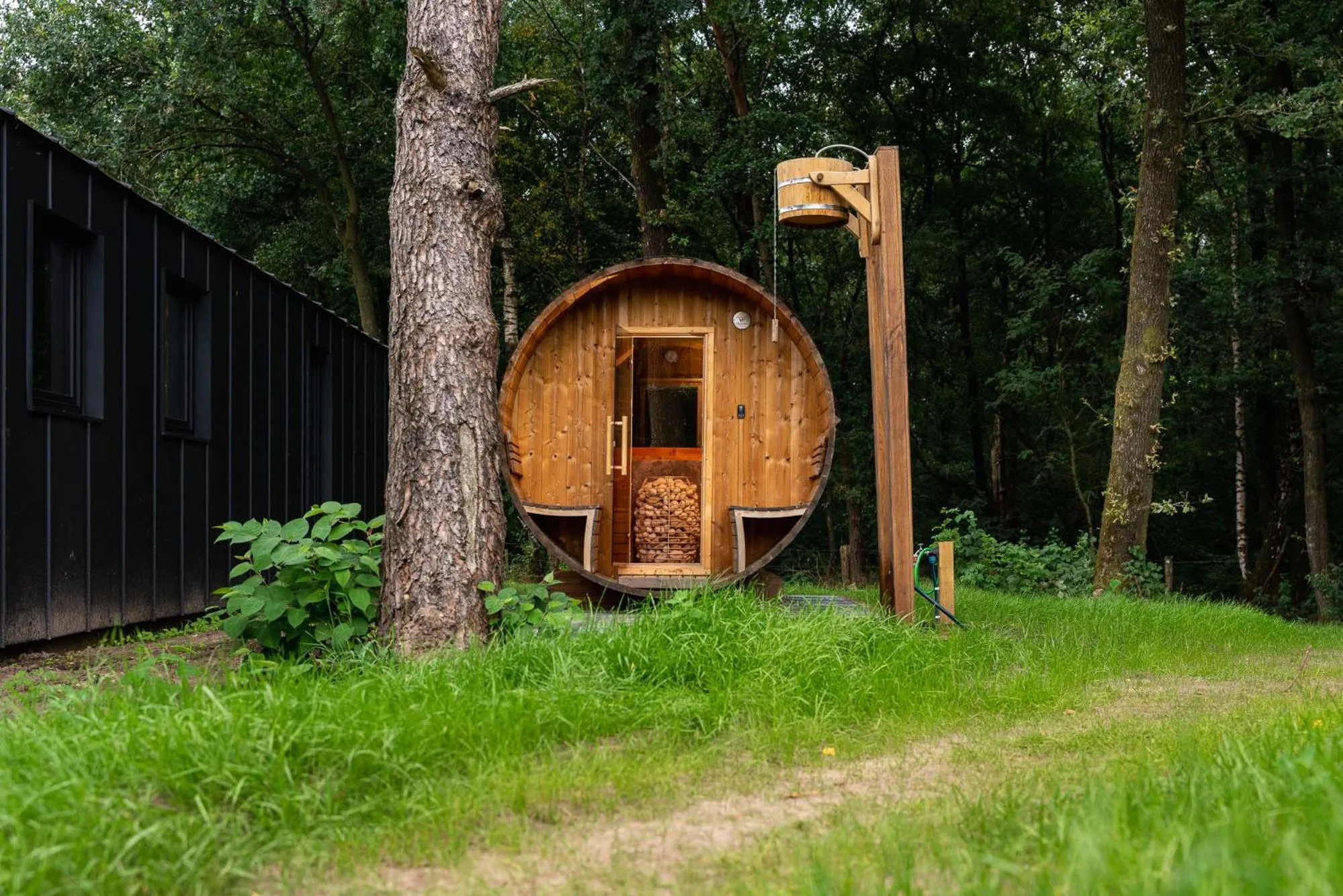 Natural landscape in The Valley x Wilsum