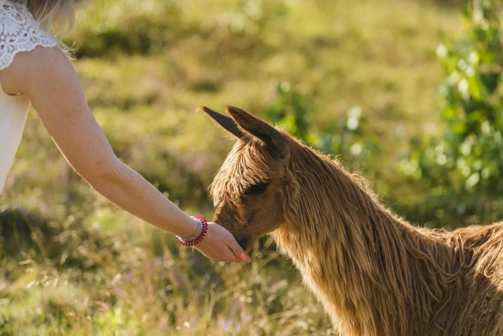 Day in Resort Wilsumer Berge