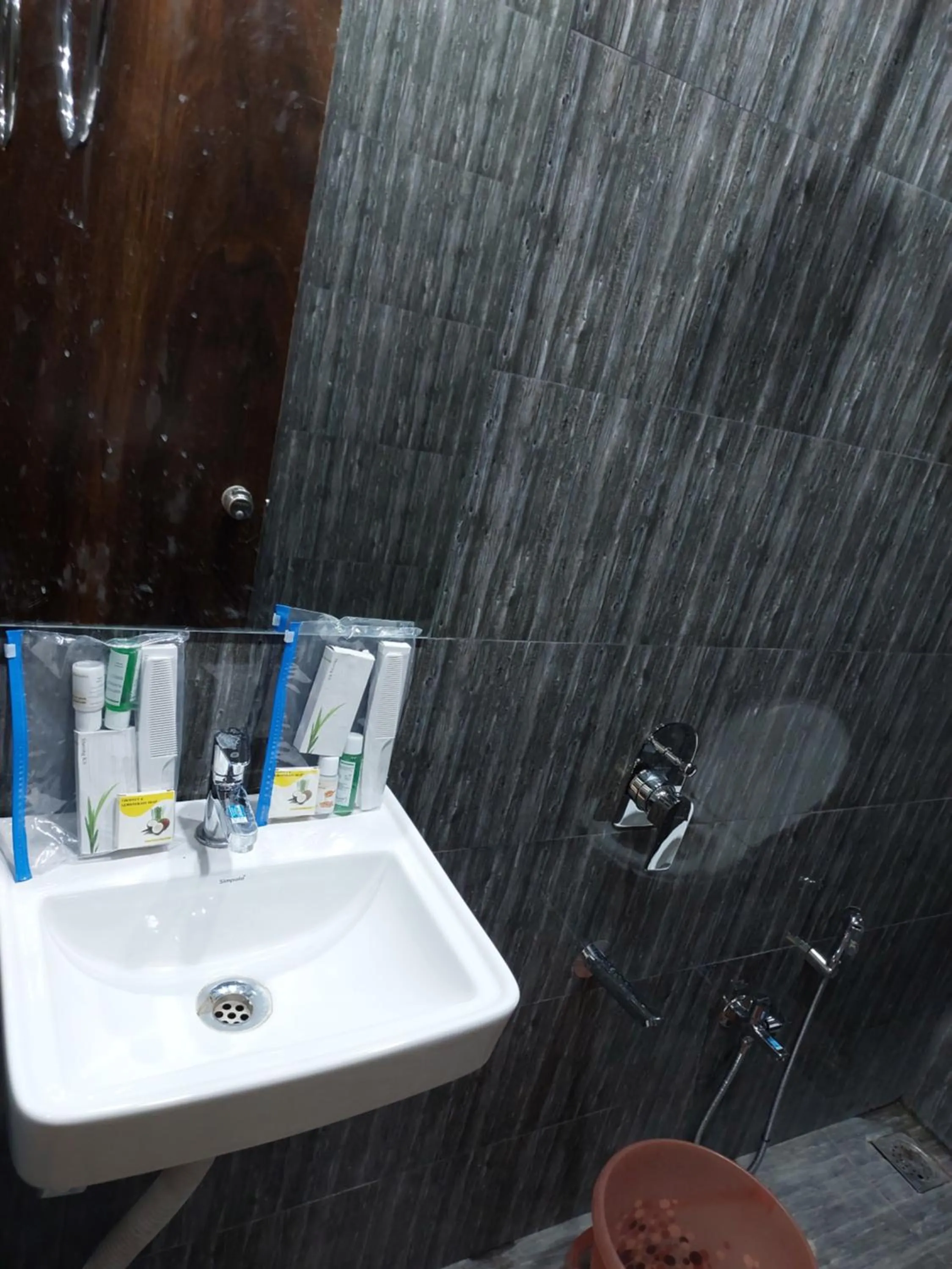 Hotel Sai Dakshina Inn & The Fern Restaurant