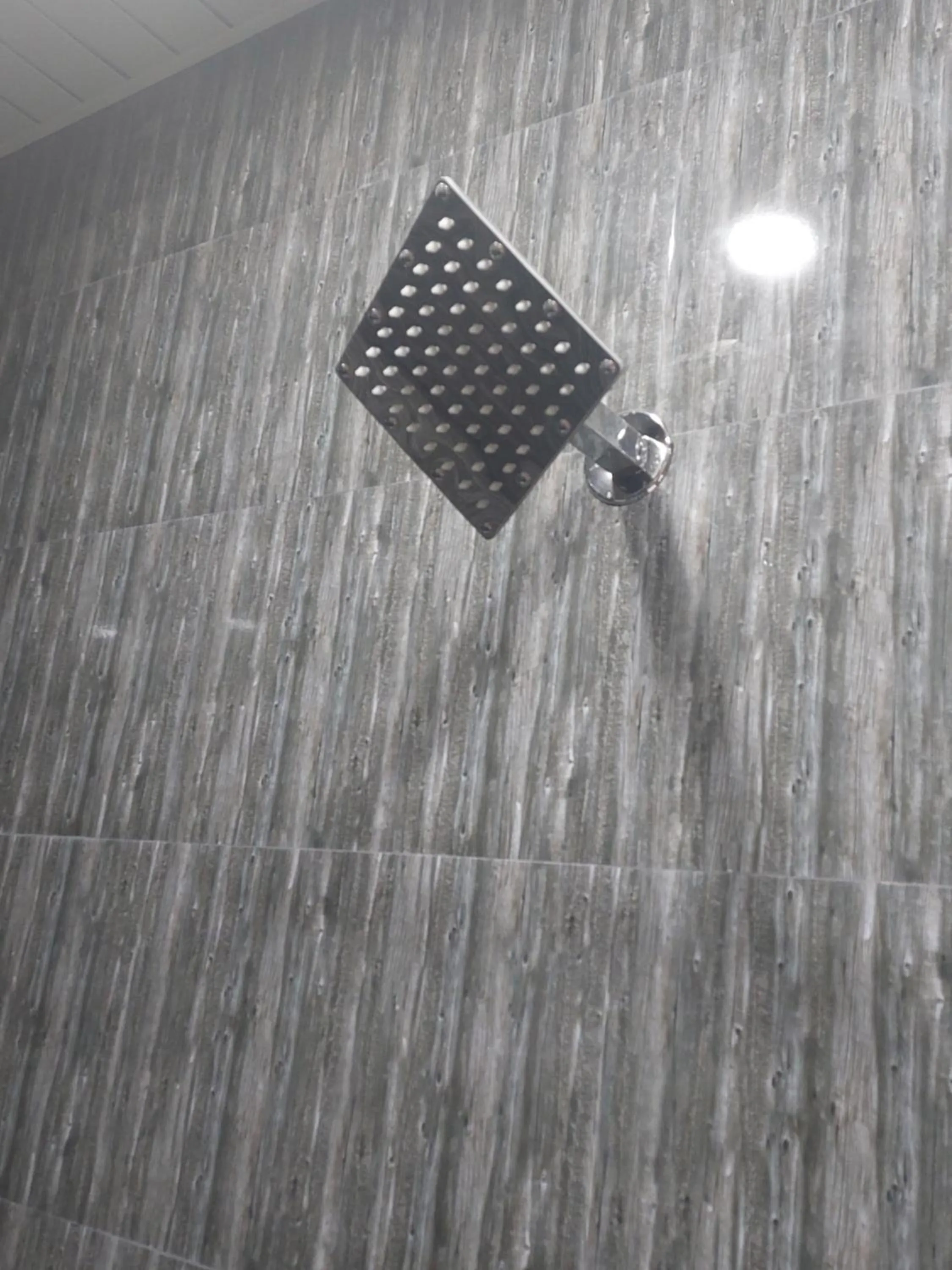 Hotel Sai Dakshina Inn & The Fern Restaurant