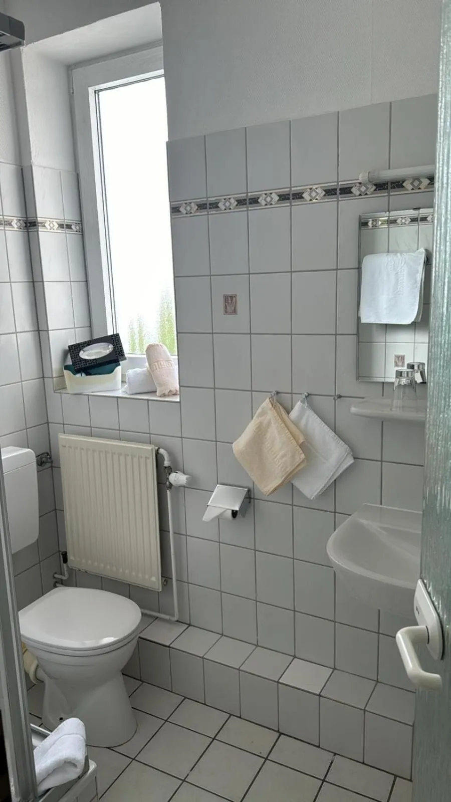 Toilet in Hotel Zur schönen Aussicht