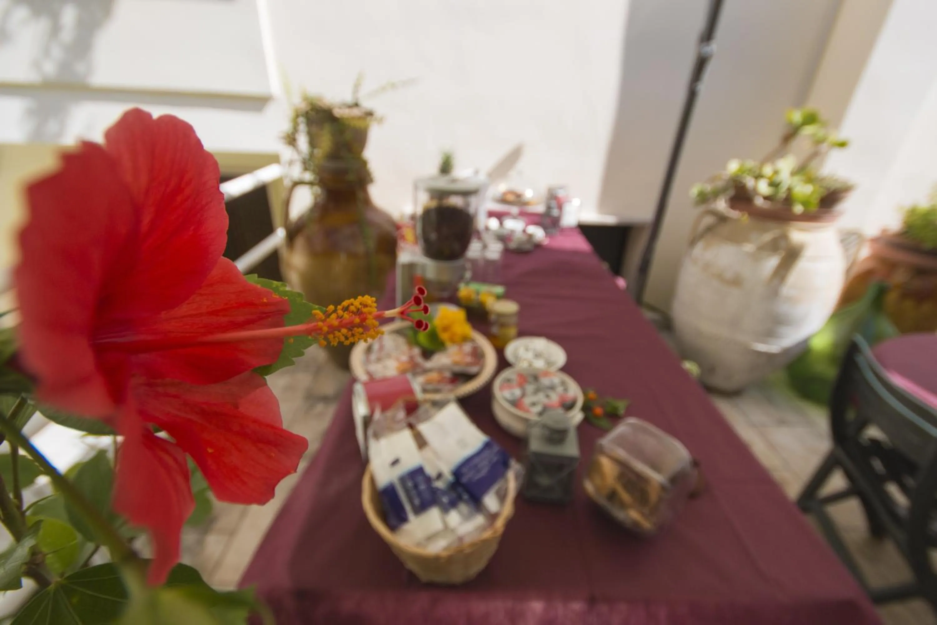 Food and drinks in B&B Luxury