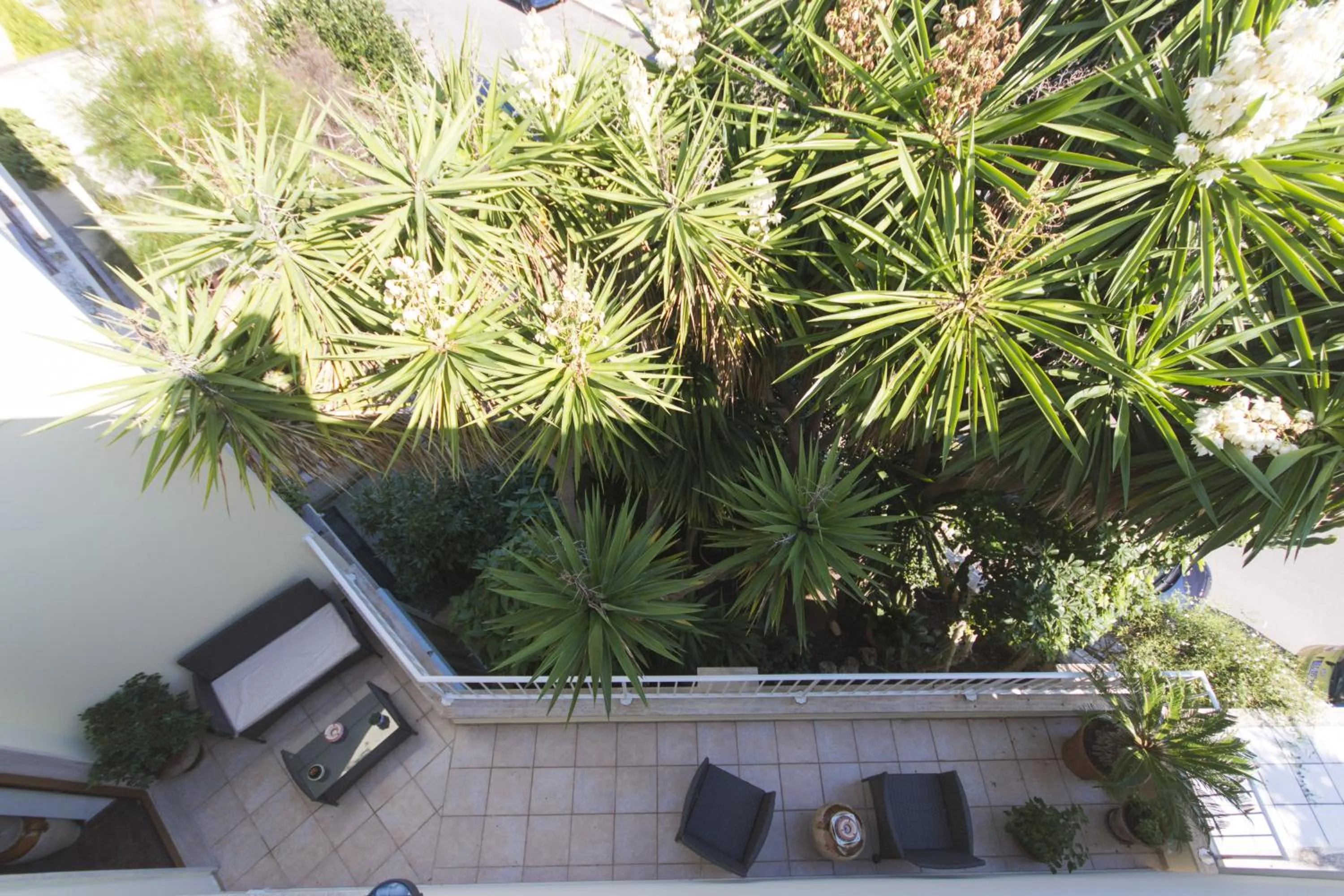 Balcony/Terrace in B&B Luxury