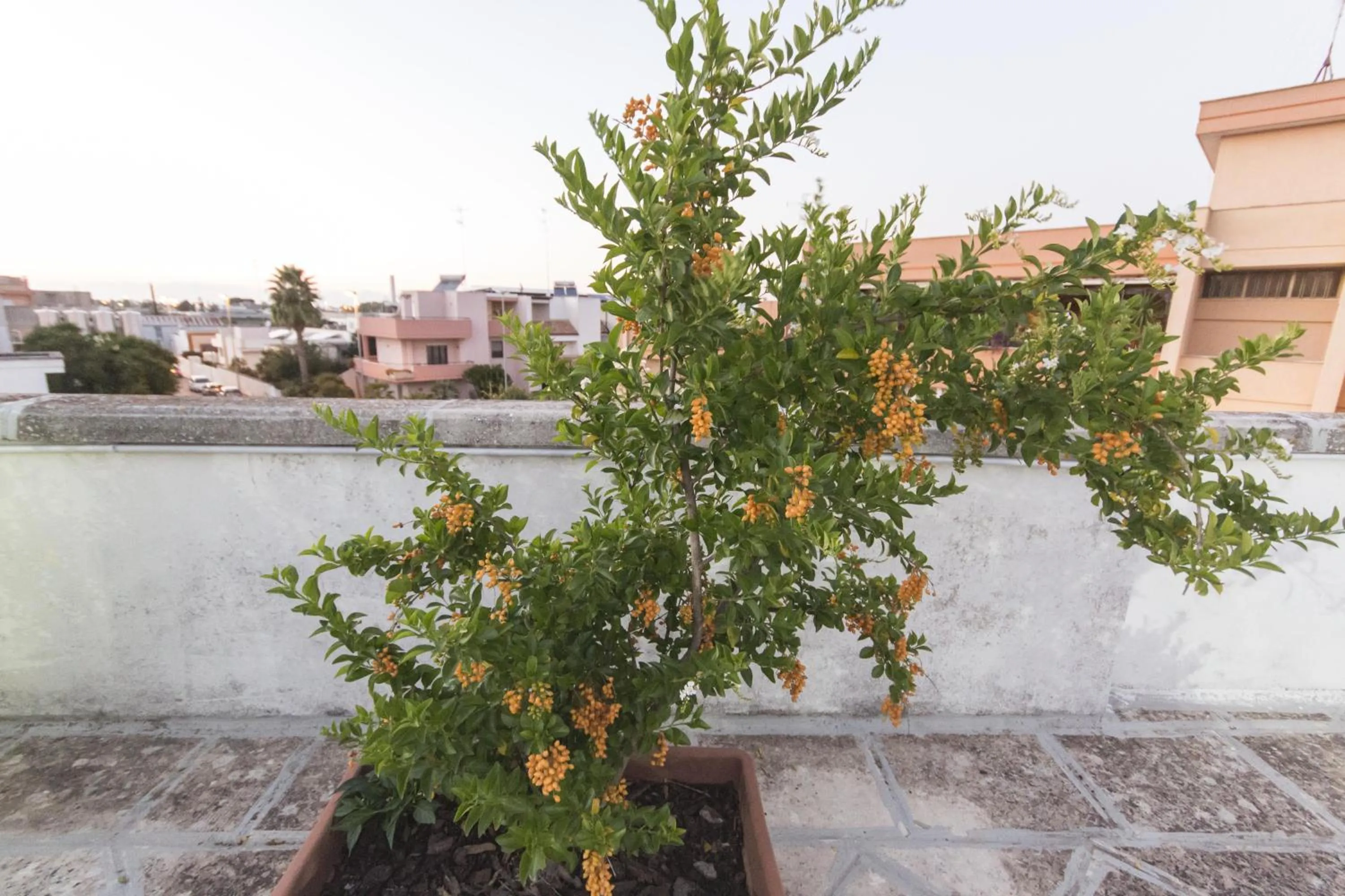 Balcony/Terrace in B&B Luxury