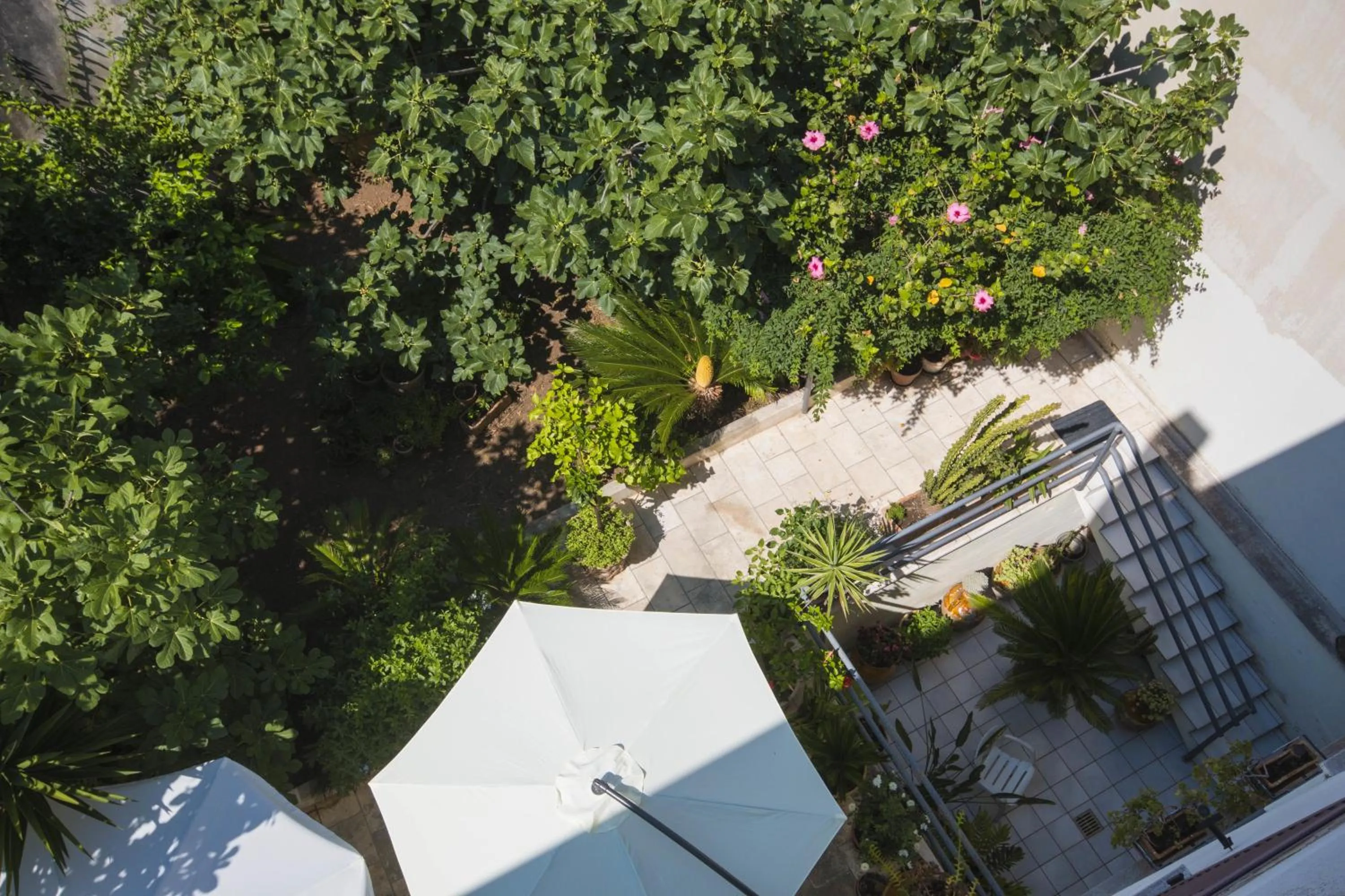 Bird's eye view in B&B Luxury