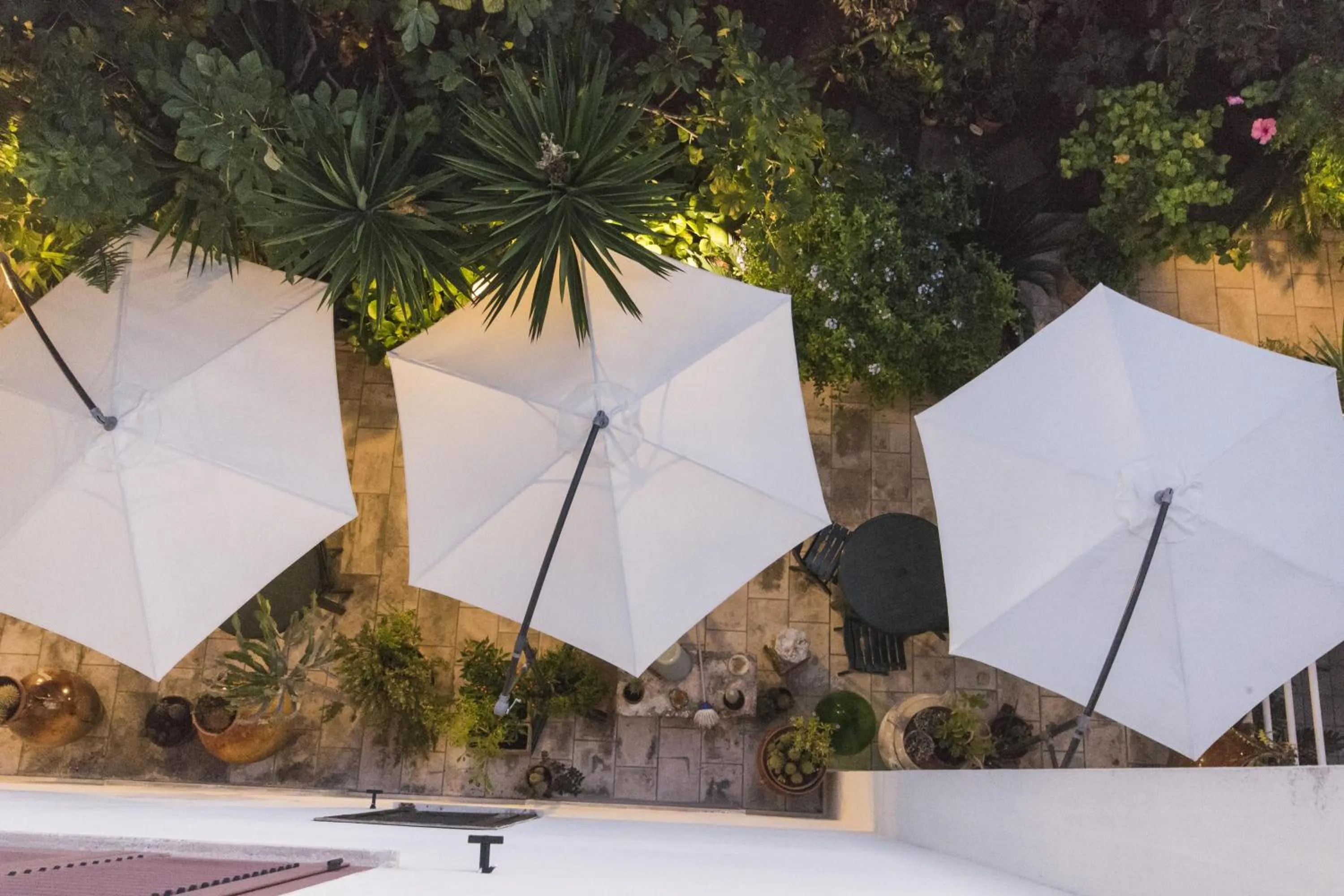 Garden in B&B Luxury