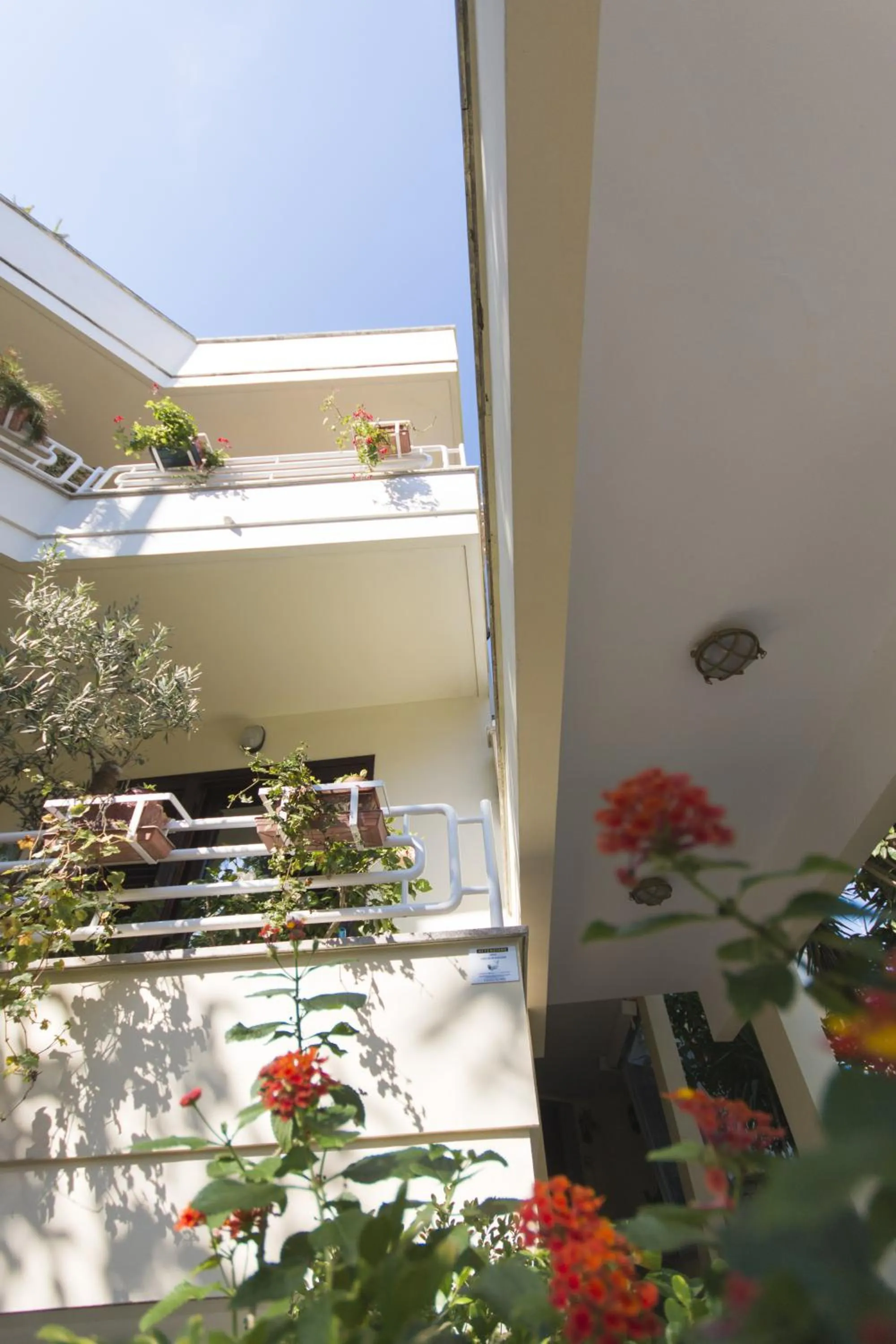 Property building in B&B Luxury