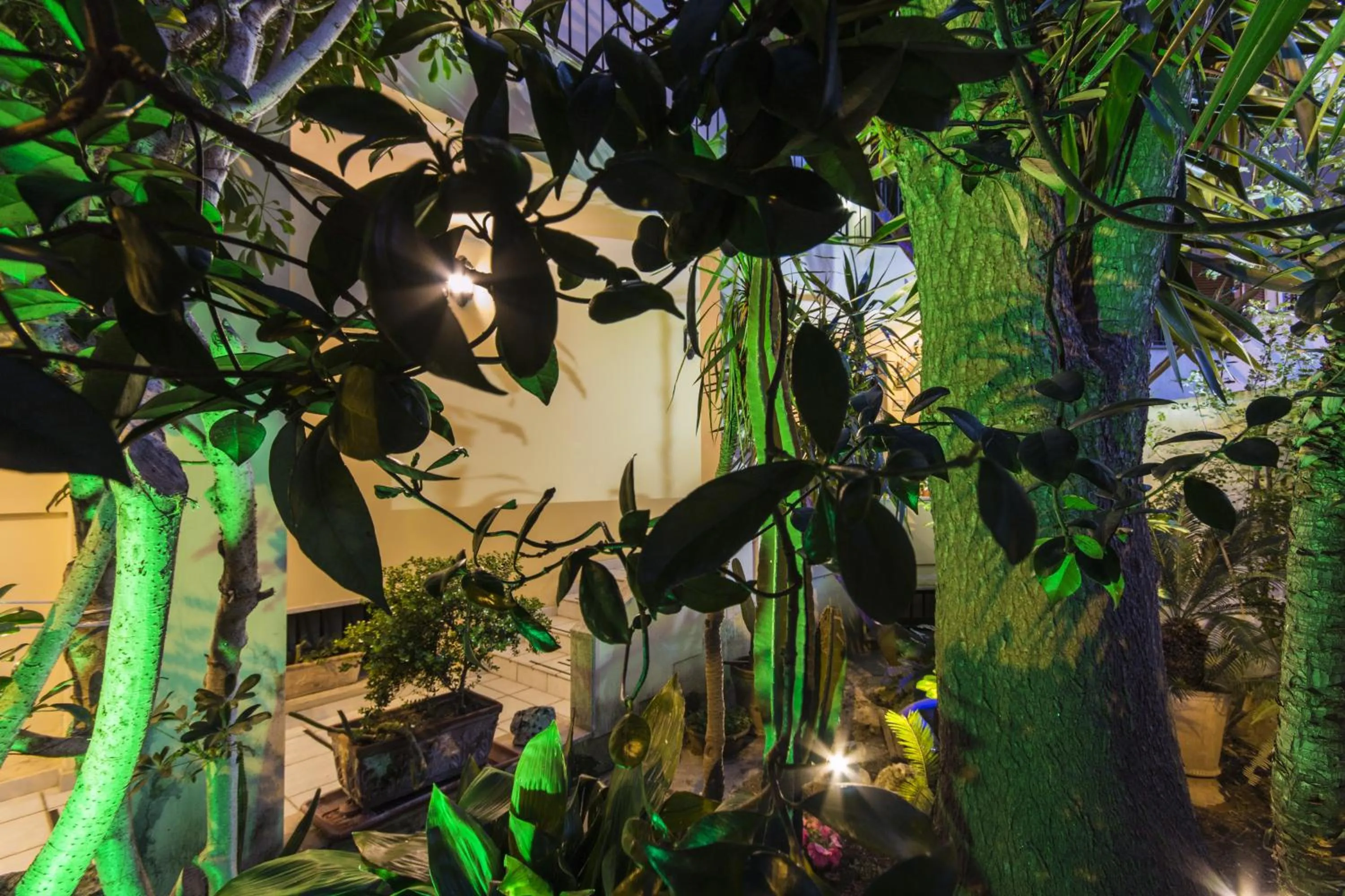 Garden in B&B Luxury