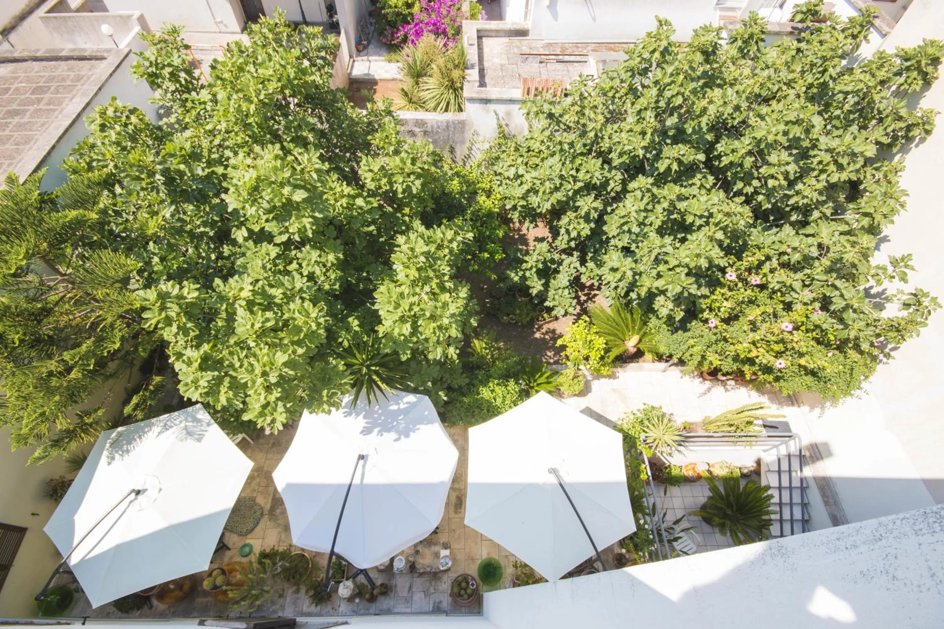 Bird's eye view in B&B Luxury