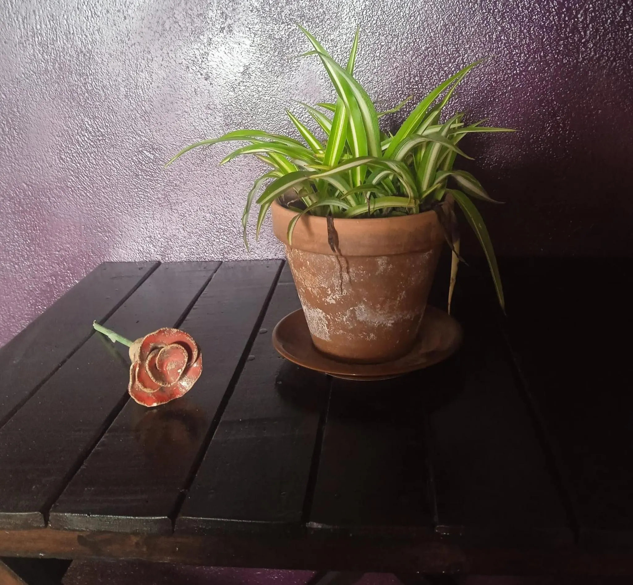 L'Olivera Casa Rural