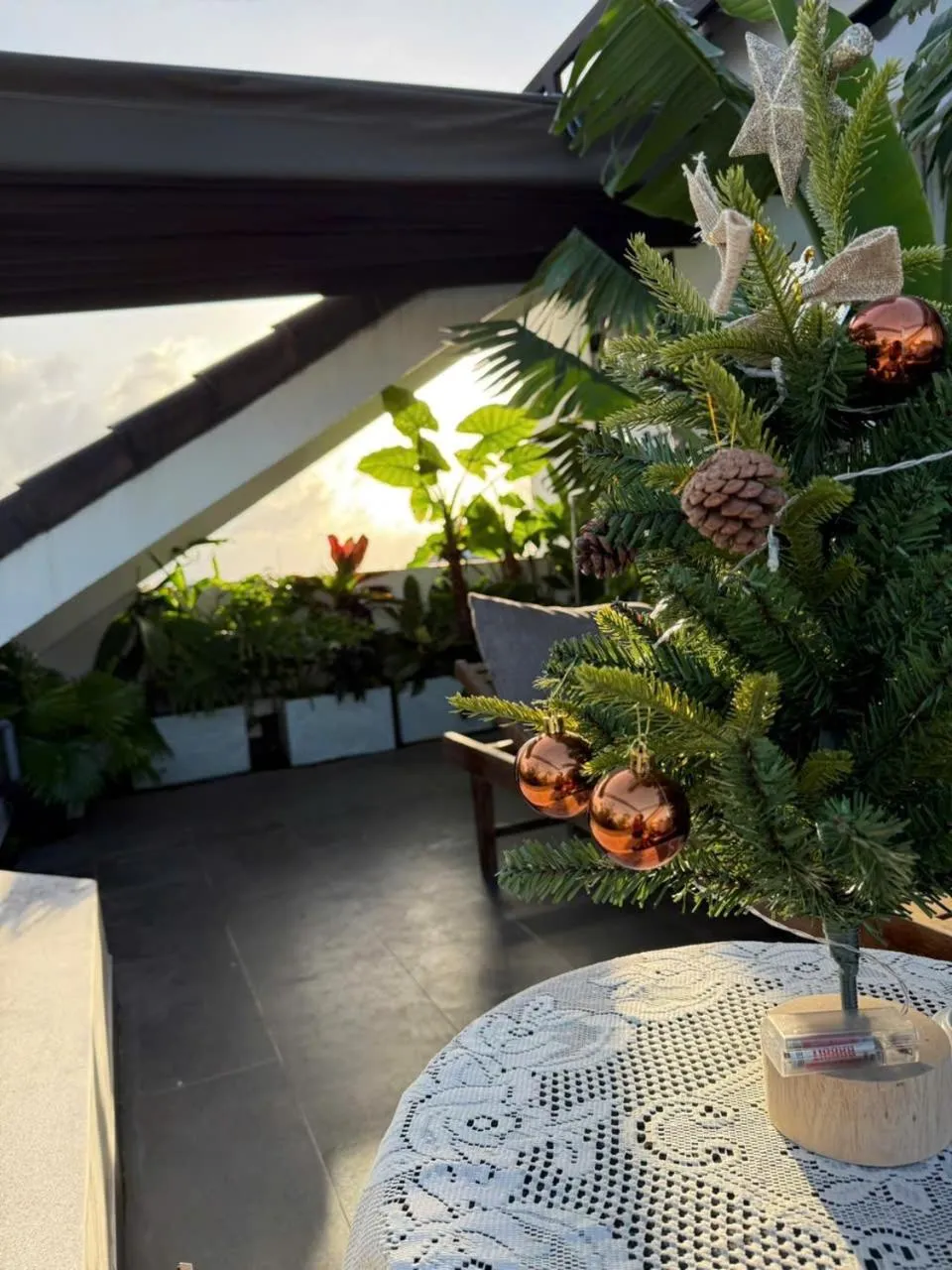 Garden in Charm Champion Villa Hoian