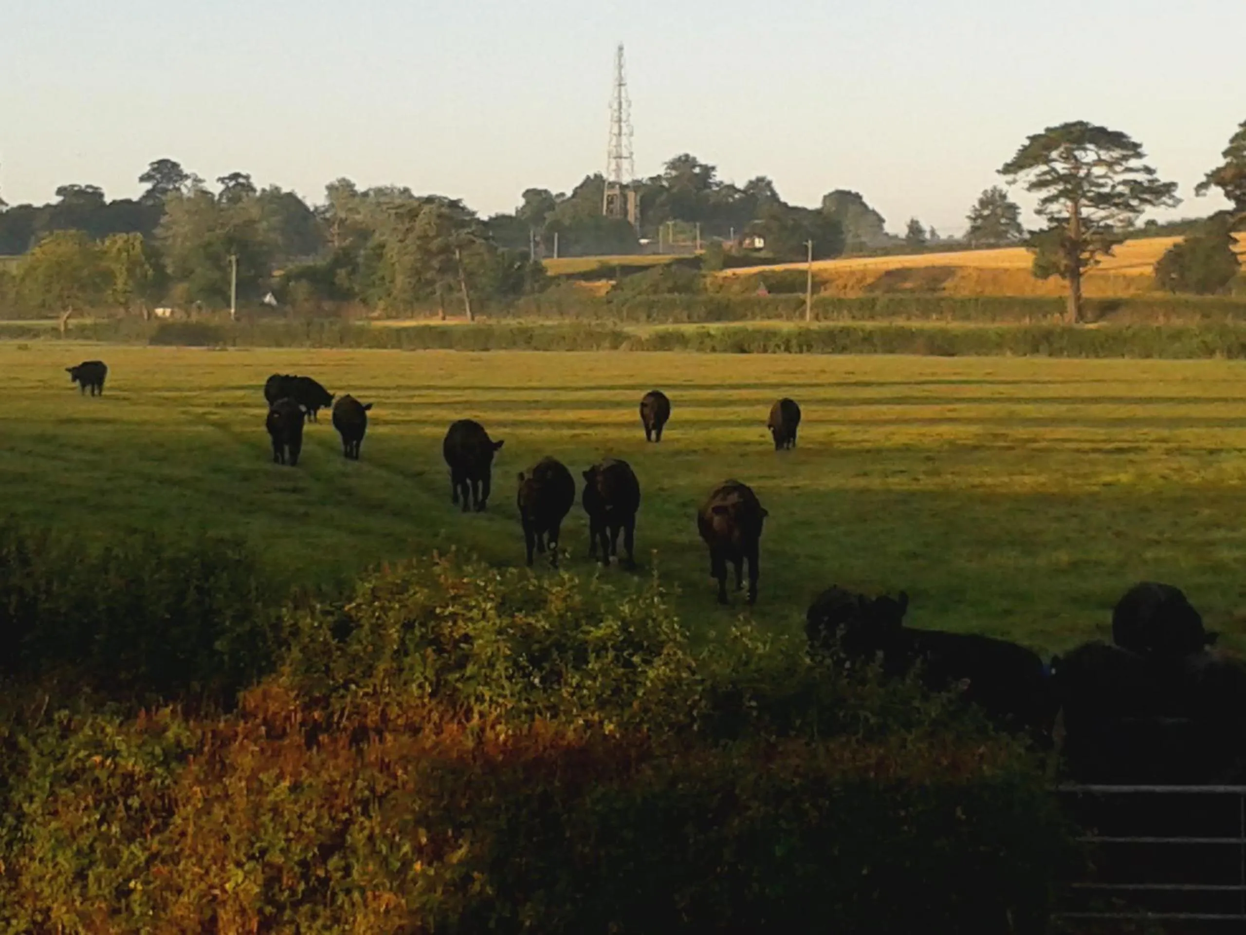 Other in Courtbrook Farm