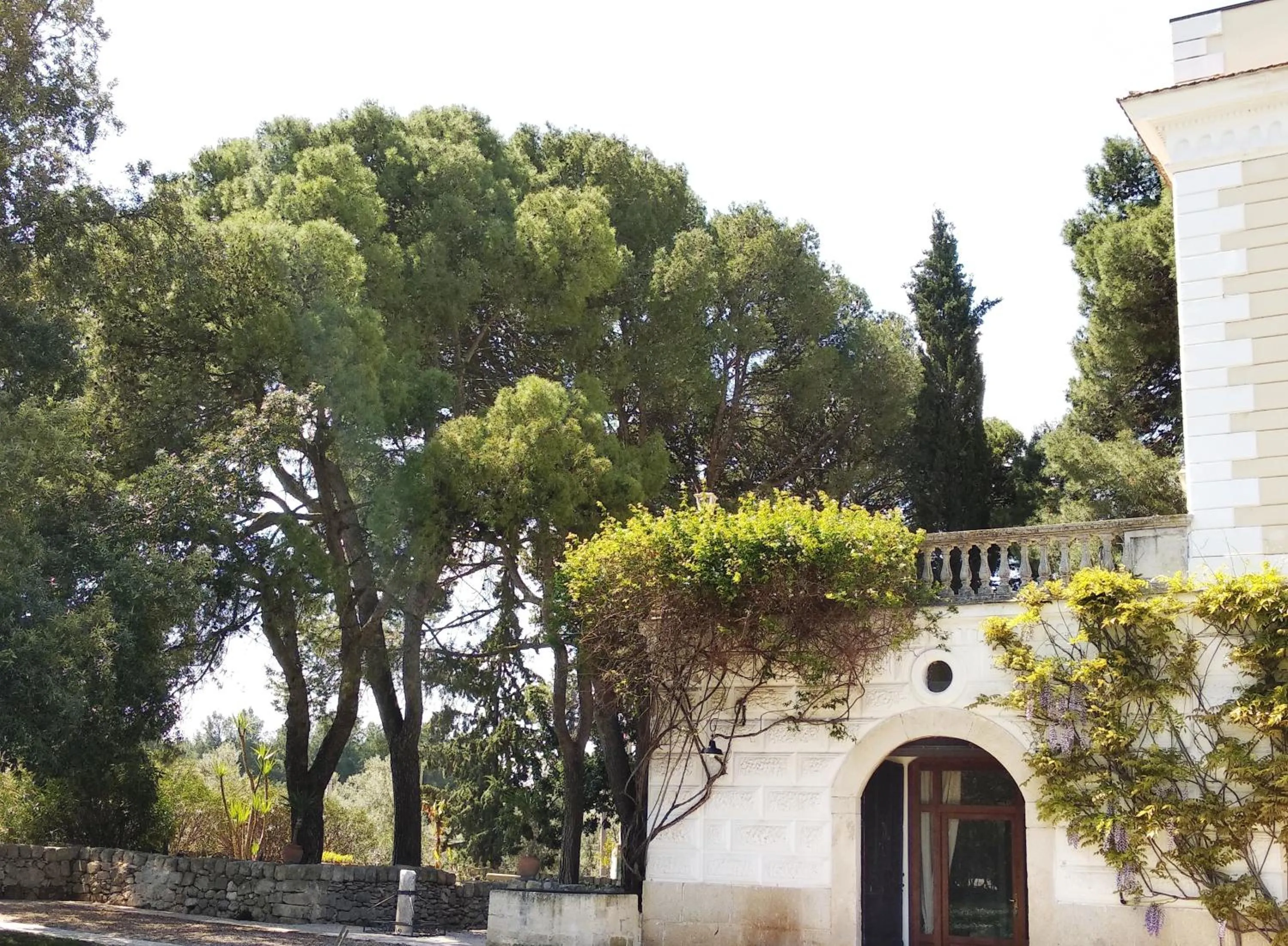 Spring in Cefalicchio B&B