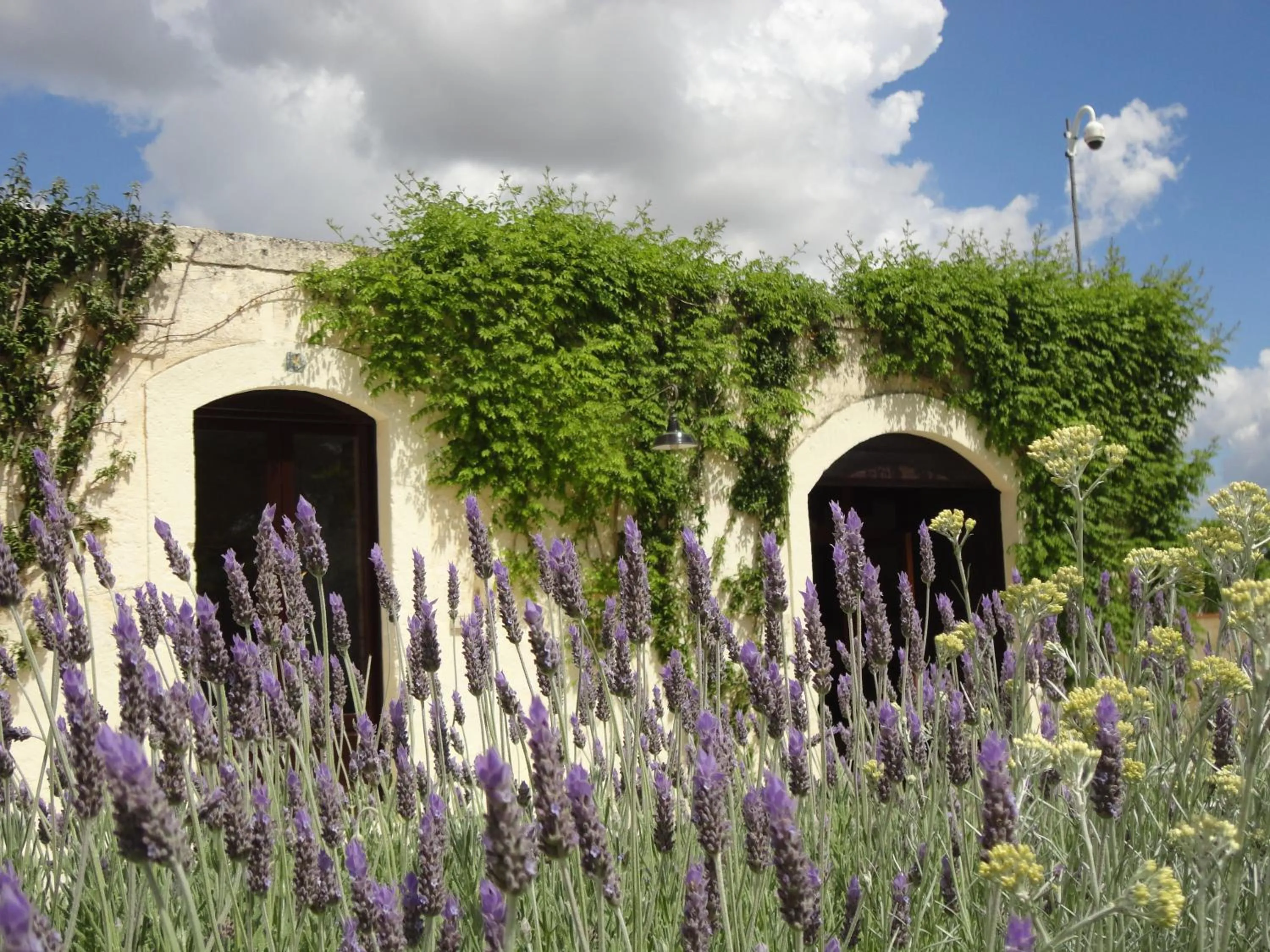 Facade/entrance in Cefalicchio B&B