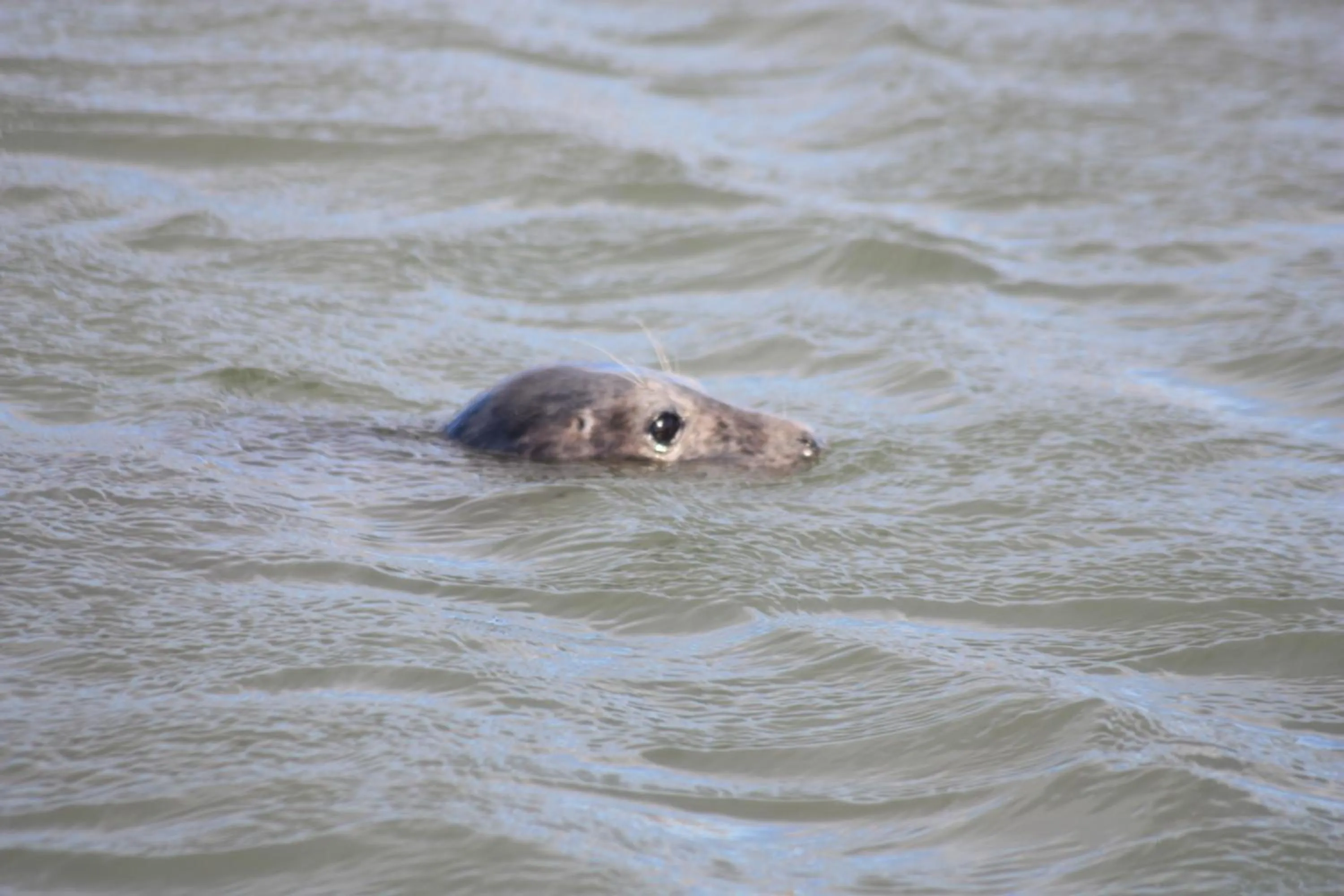 Natural landscape in Newburgh Inn