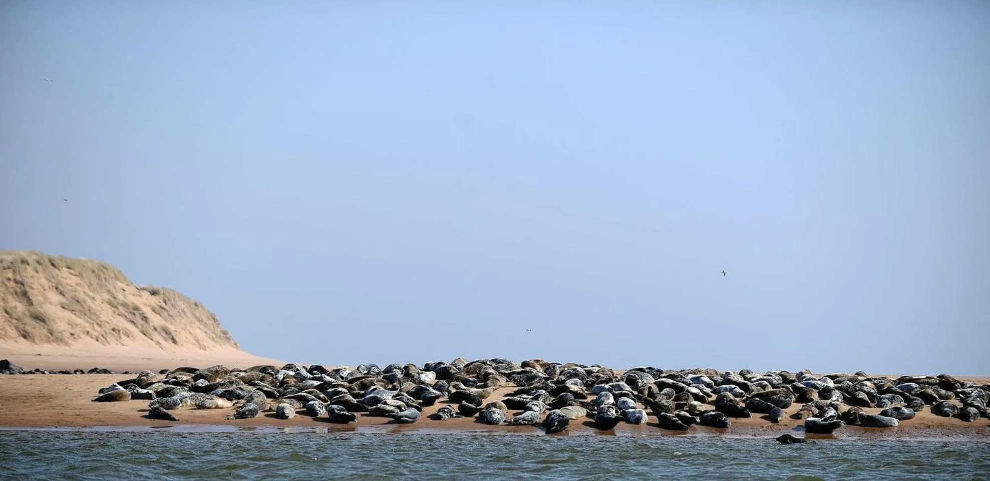 Natural landscape in Newburgh Inn