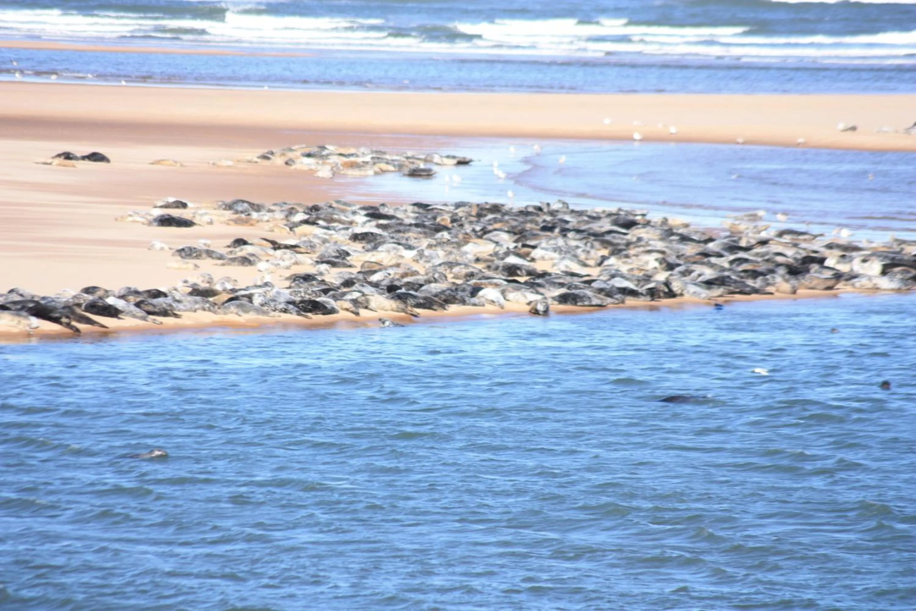 Nearby landmark in Newburgh Inn