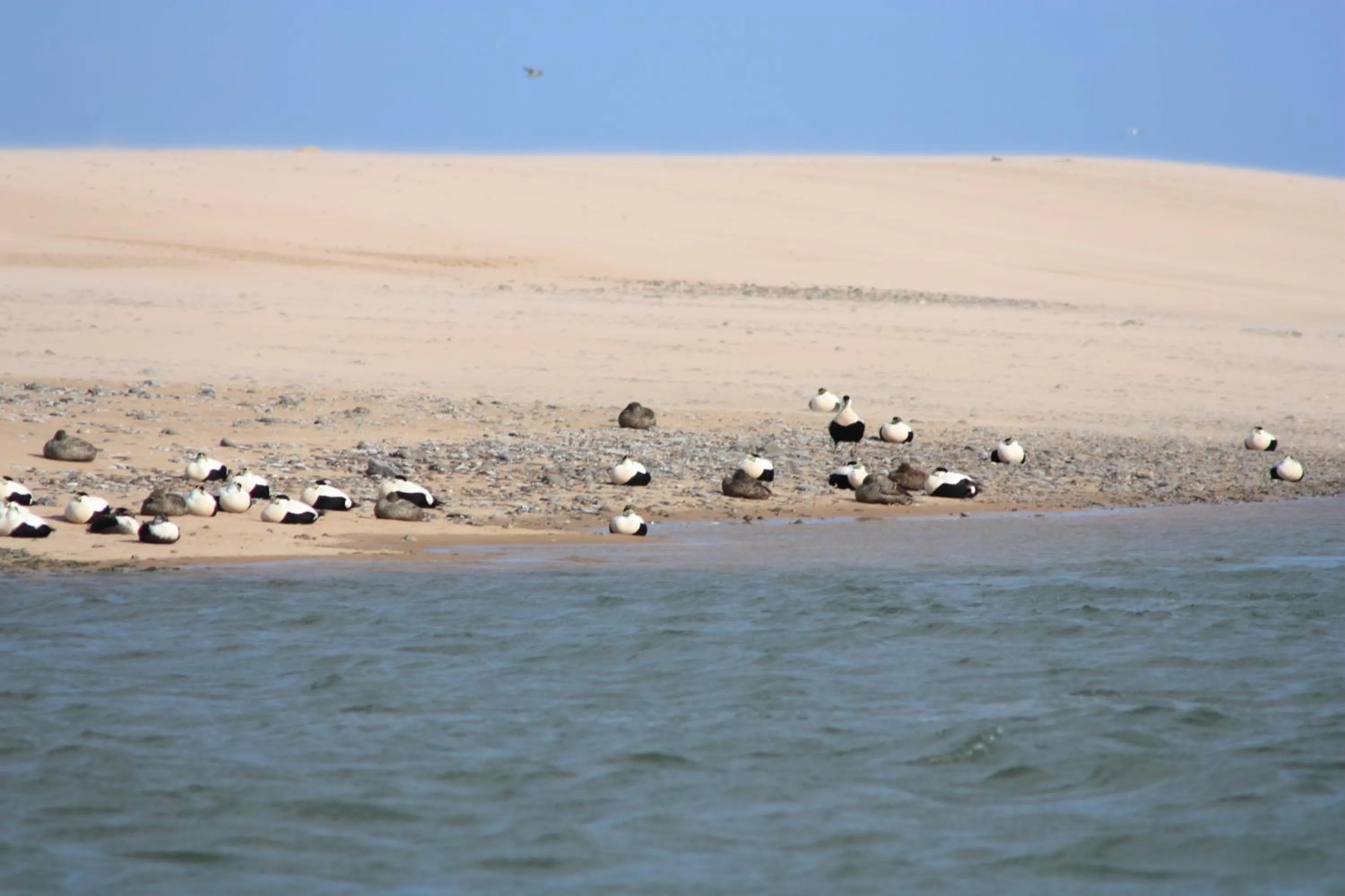 Natural landscape in Newburgh Inn