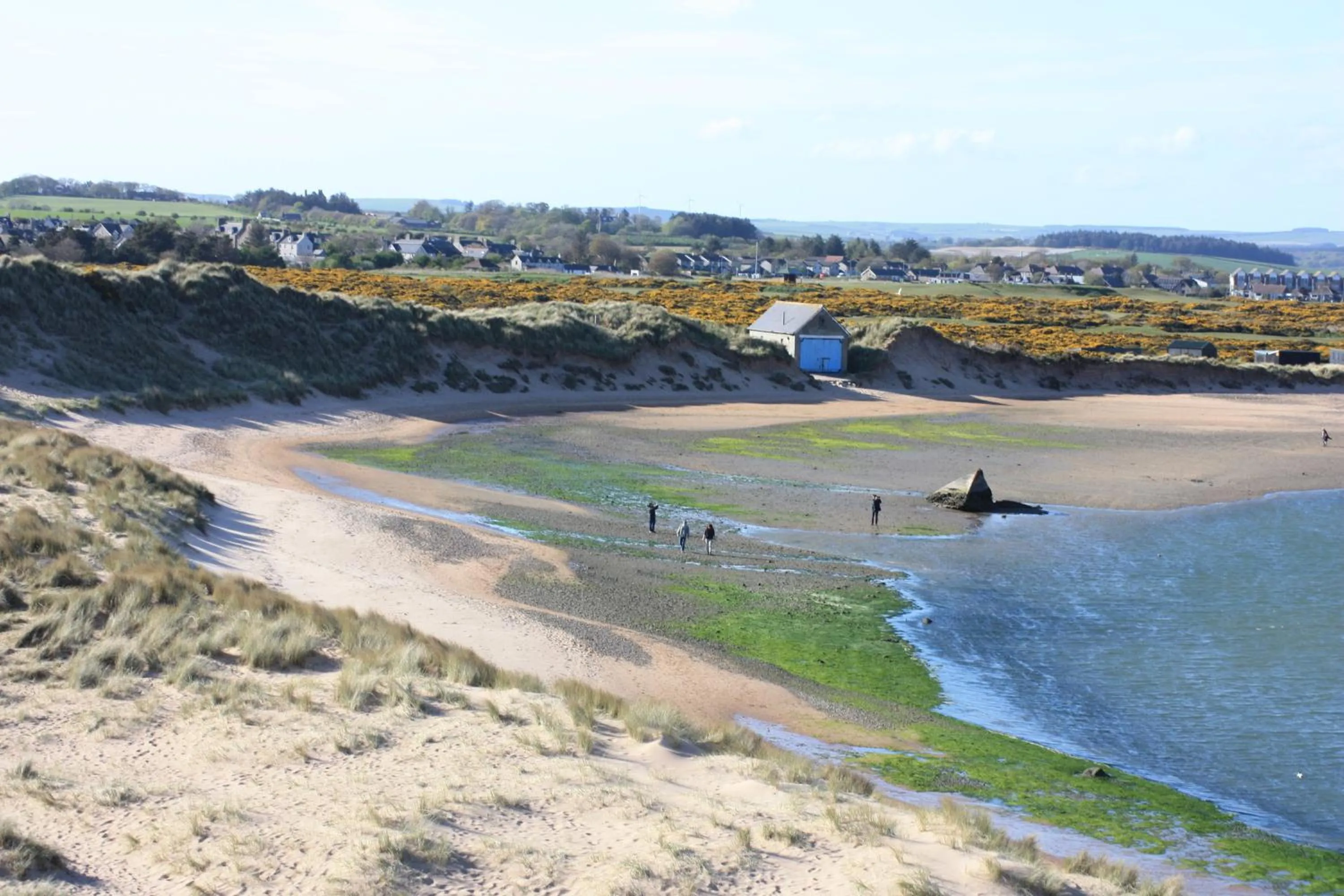 Natural landscape in Newburgh Inn