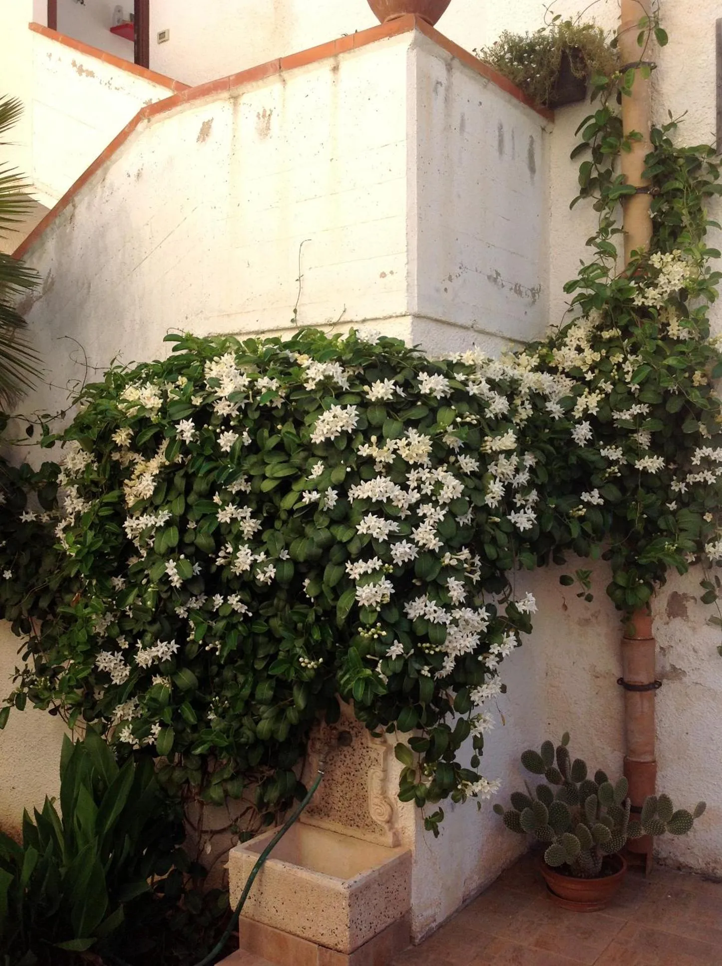 Facade/entrance in B&B Chiedi la Luna