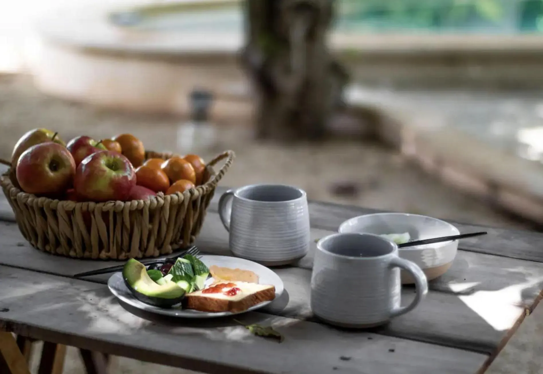 Garden in Casa Magu Merida