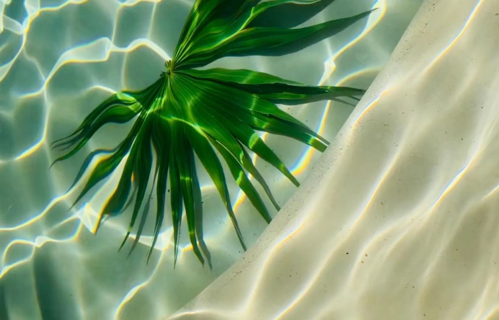 Swimming pool in Casa Magu Merida