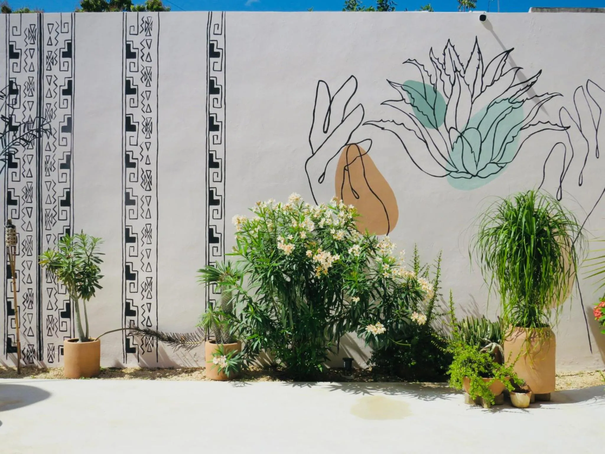 Garden view in Casa Magu Merida