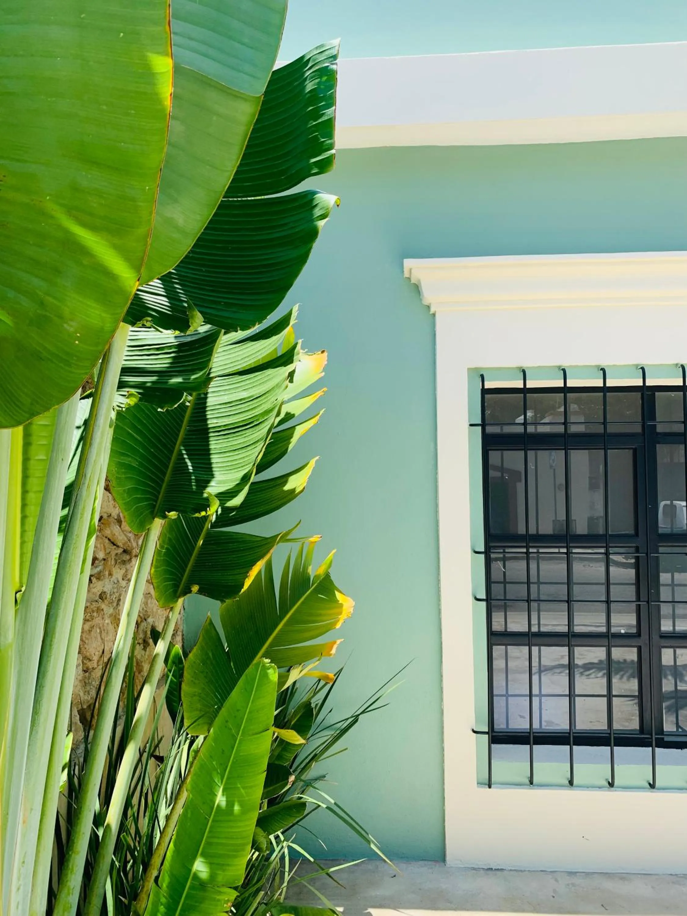 Property building in Casa Magu Merida