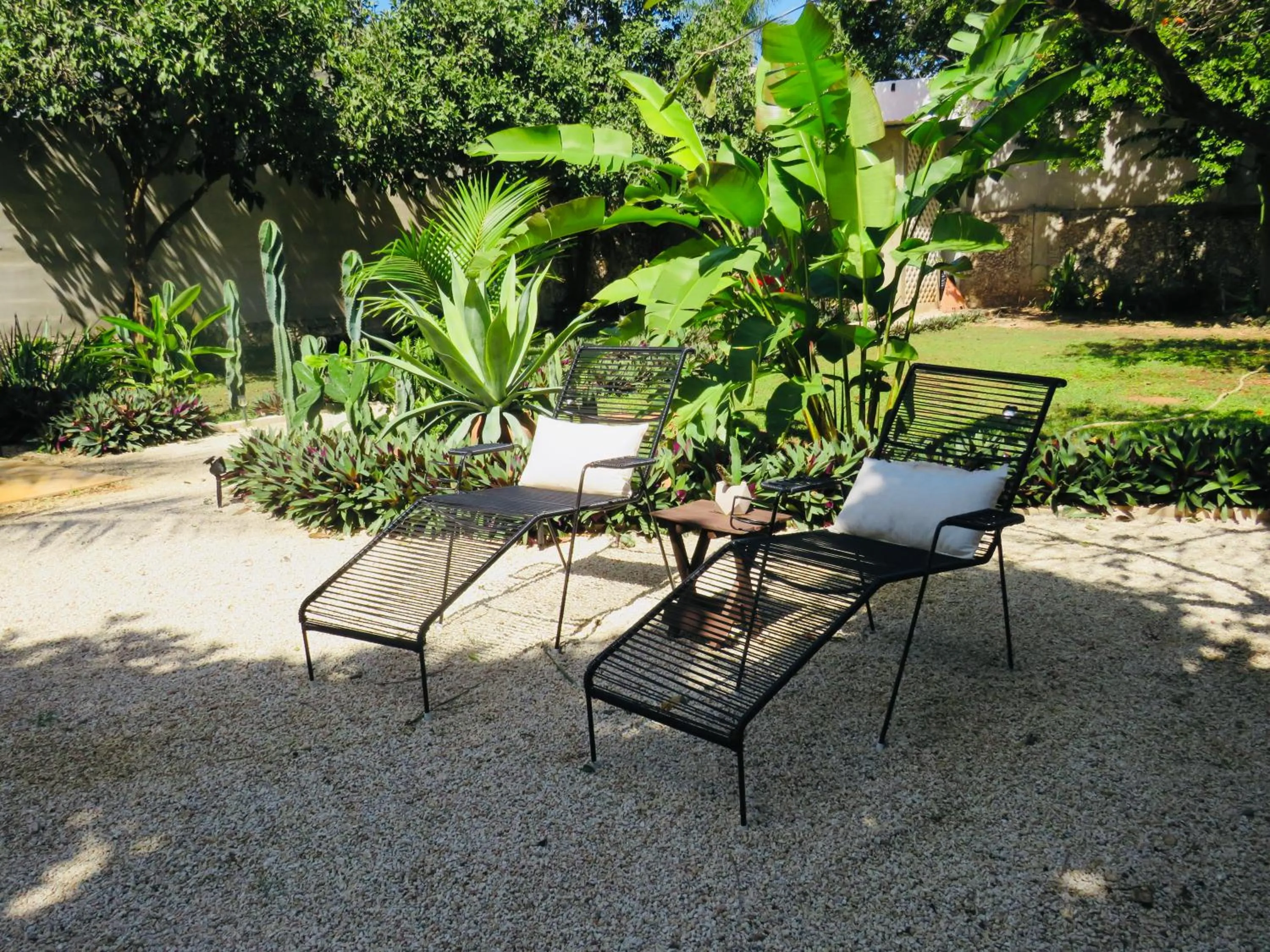 Garden in Casa Magu Merida