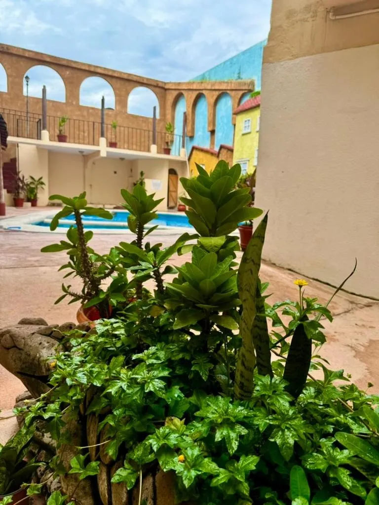 Garden in Hotel Zihuatanejo Centro