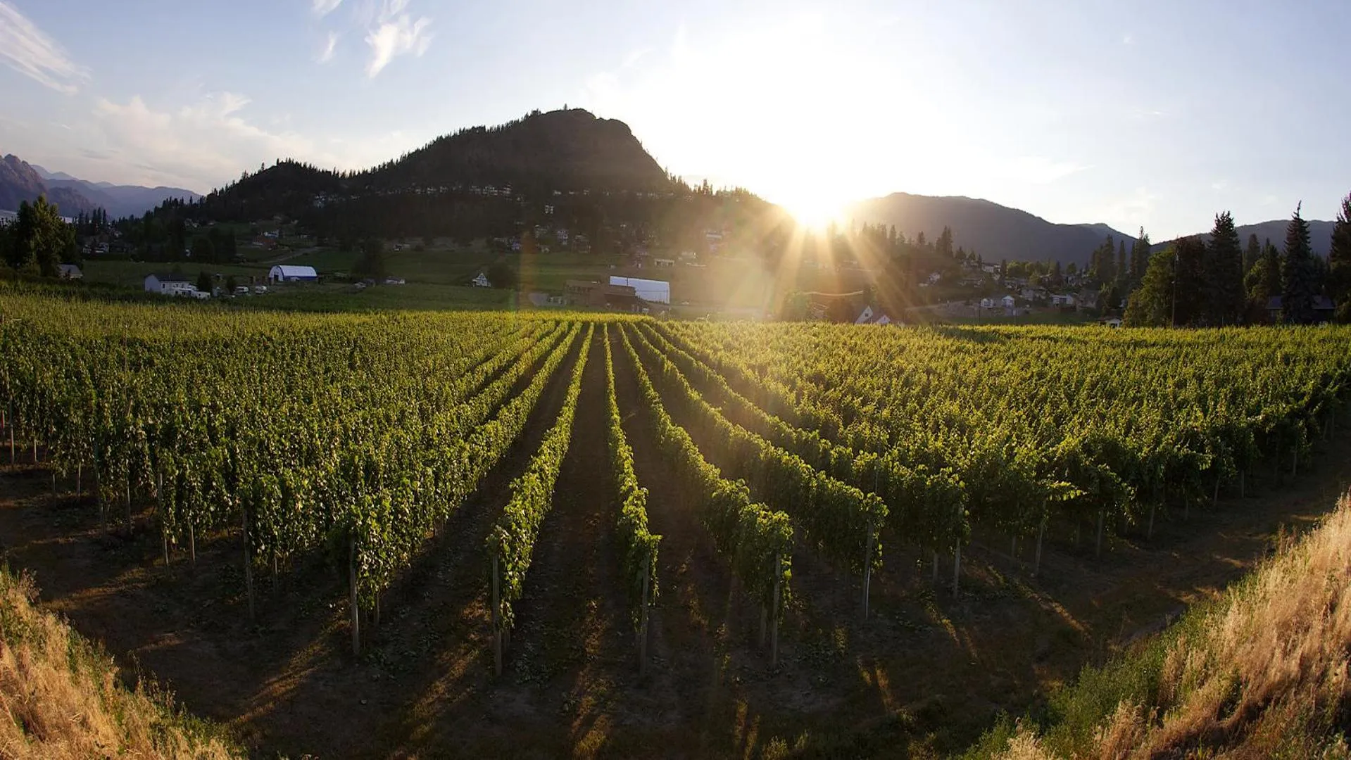 Activities in Heaven's Haven