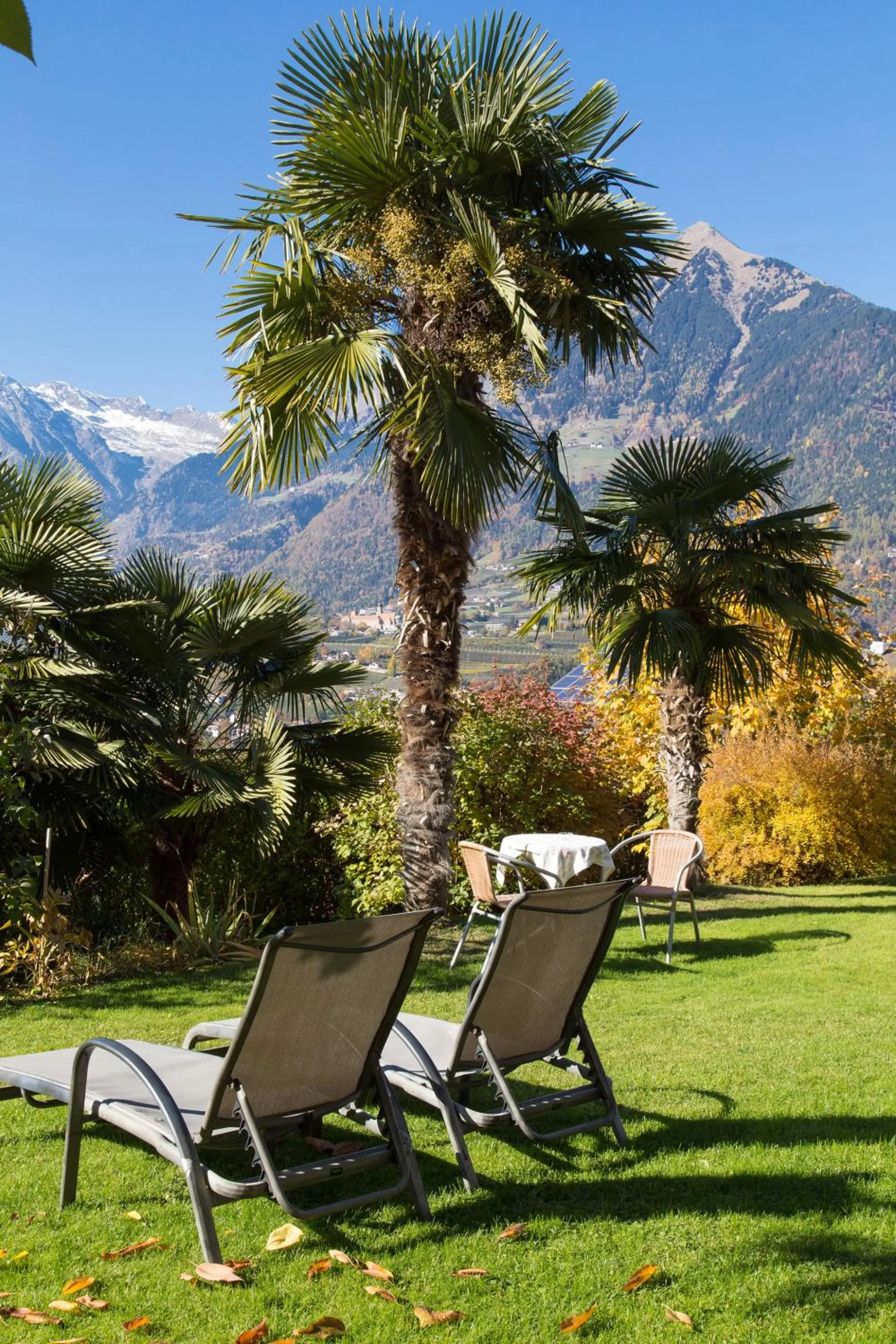 Garden in Hotel Garni Katnau