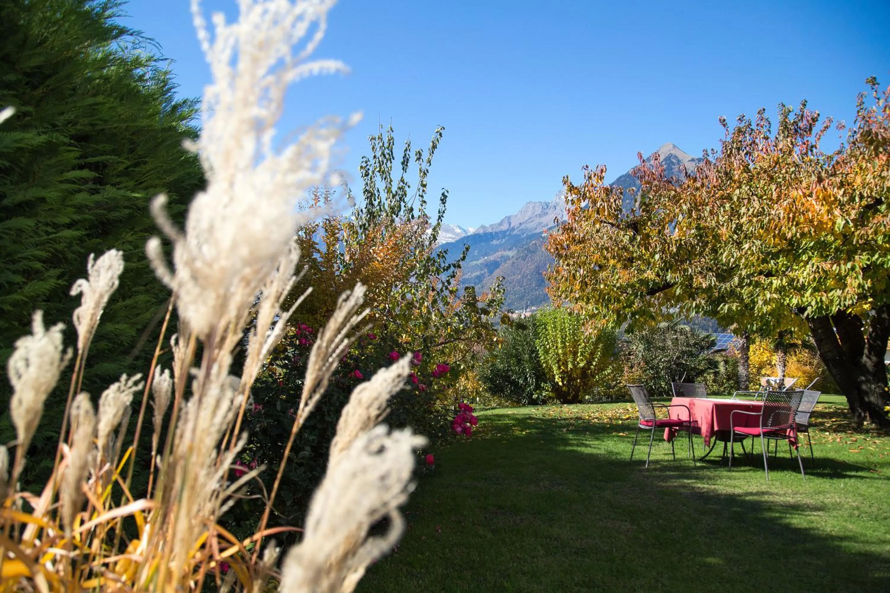 Garden in Hotel Garni Katnau